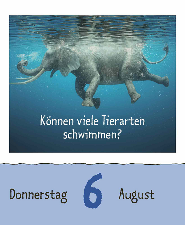 9783731889199_innenansicht_12.jpg