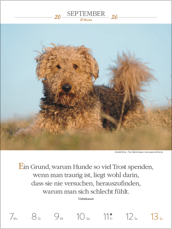 9783731884392_innenansicht_07.jpg