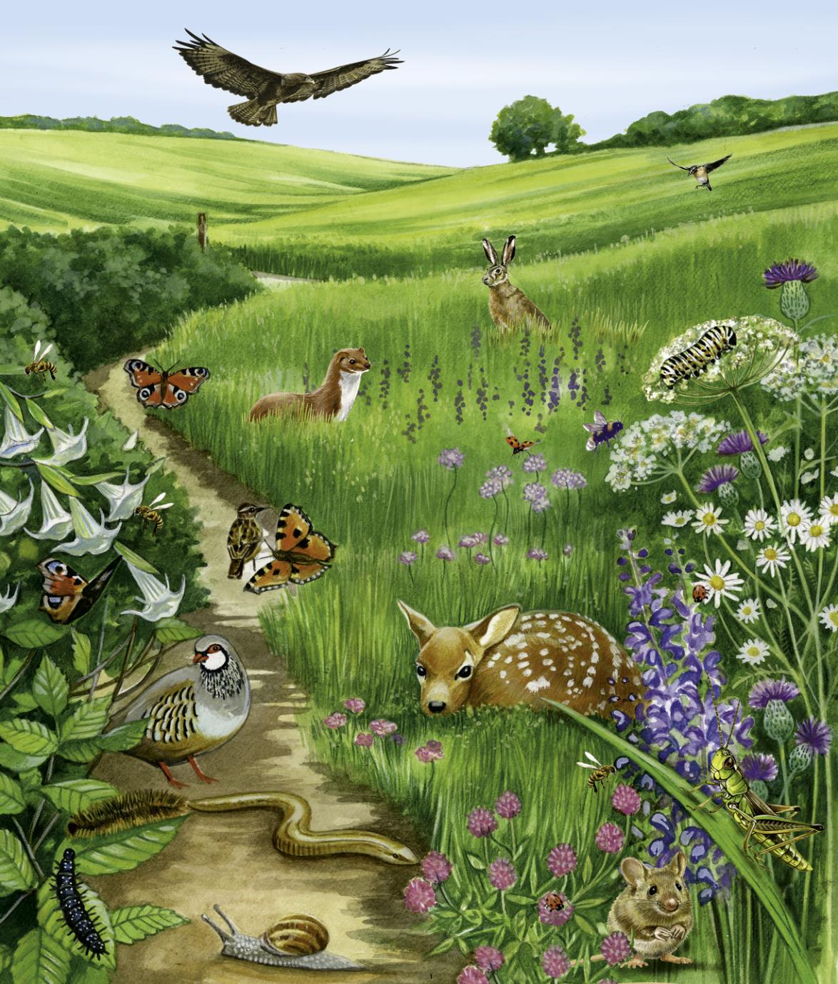 9783849945671_innenansicht_02 9783849945671_innenansicht_02.jpg