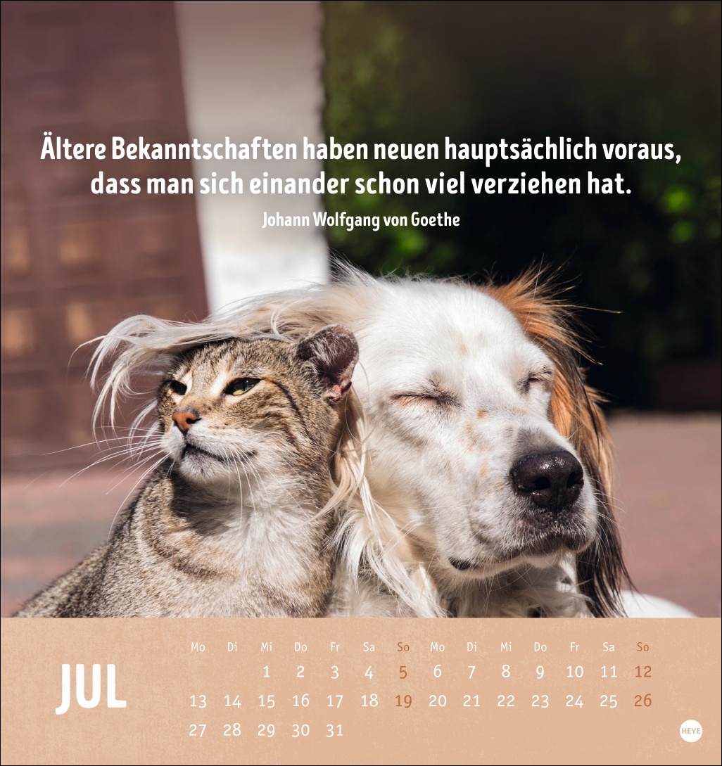 9783756413522_innenansicht_07.jpg