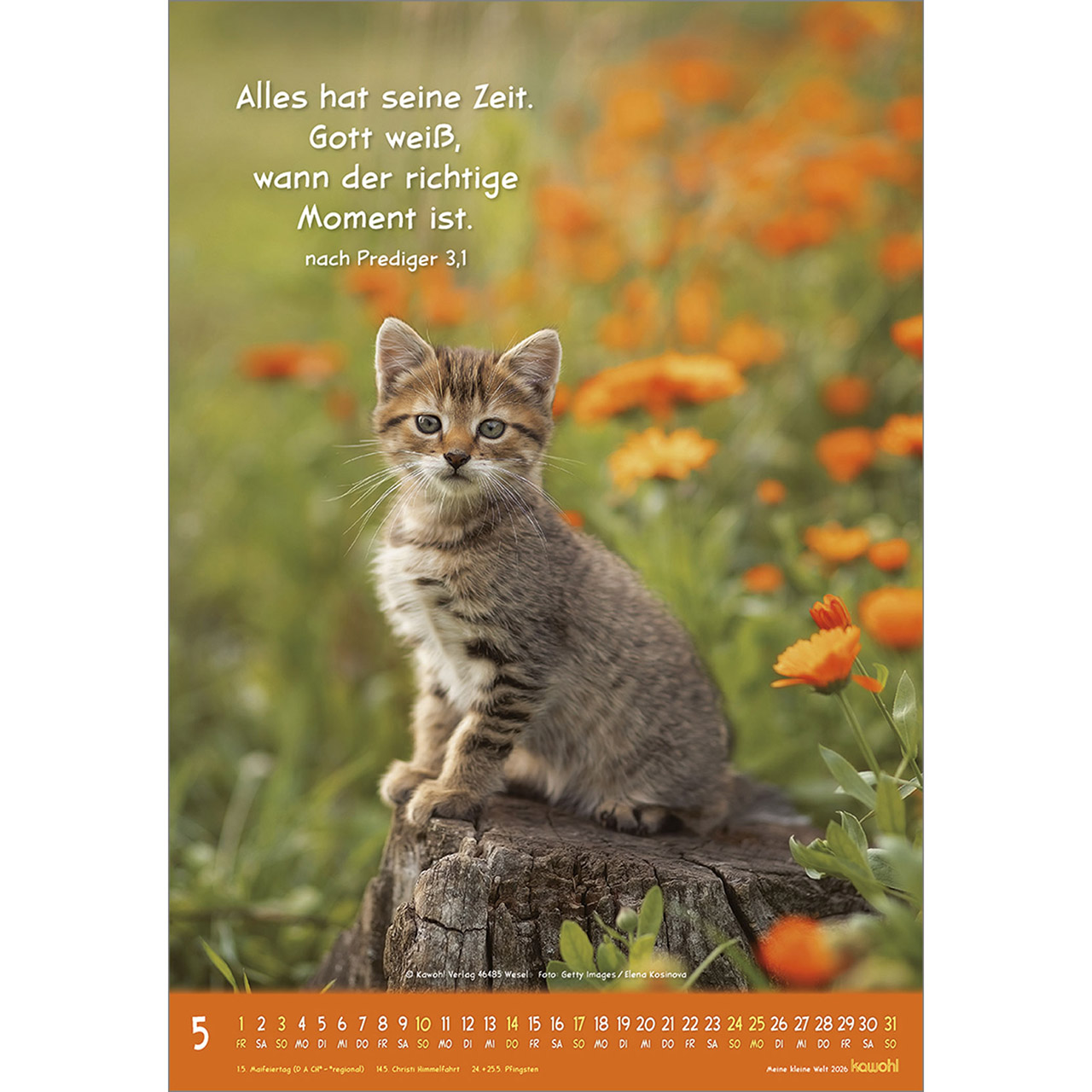 9783754845066_innenansicht_05 9783754845066_innenansicht_05.jpg