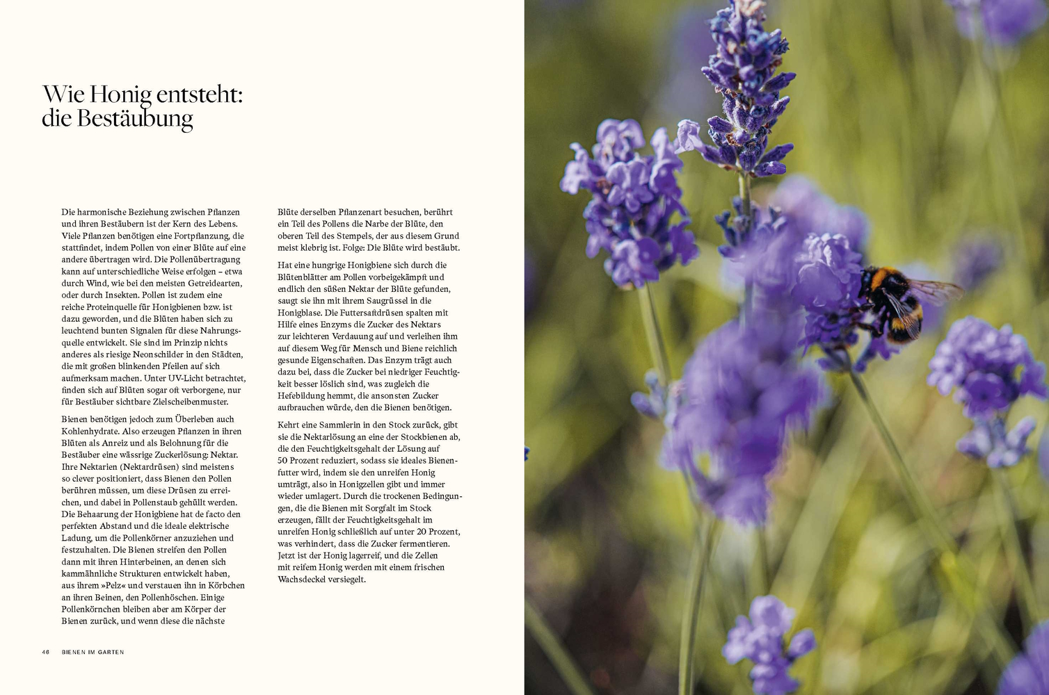 9783957287502_innenansicht_03 9783957287502_innenansicht_03.jpg