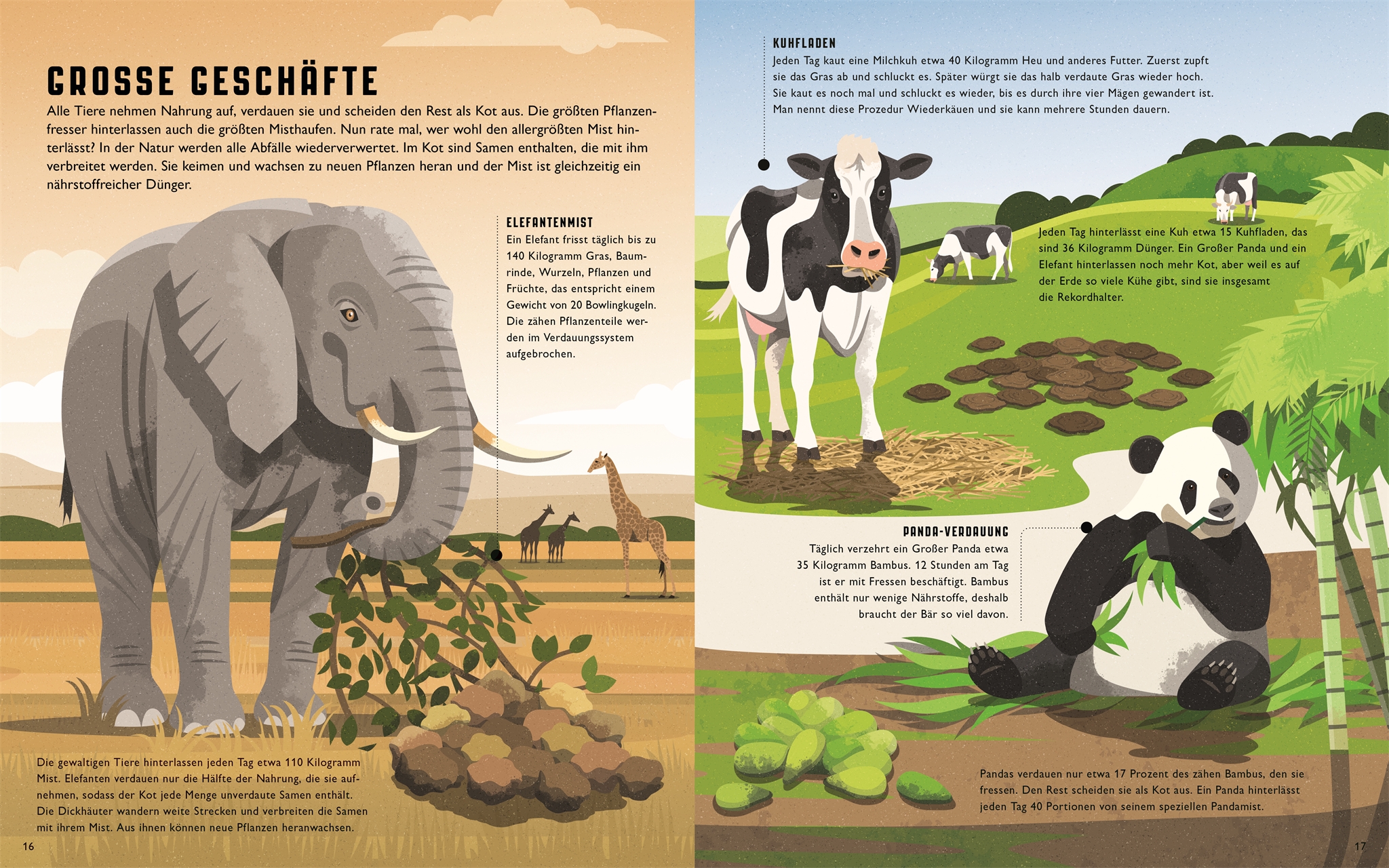 9783831046171_innenansicht_01 9783831046171_innenansicht_01.jpg