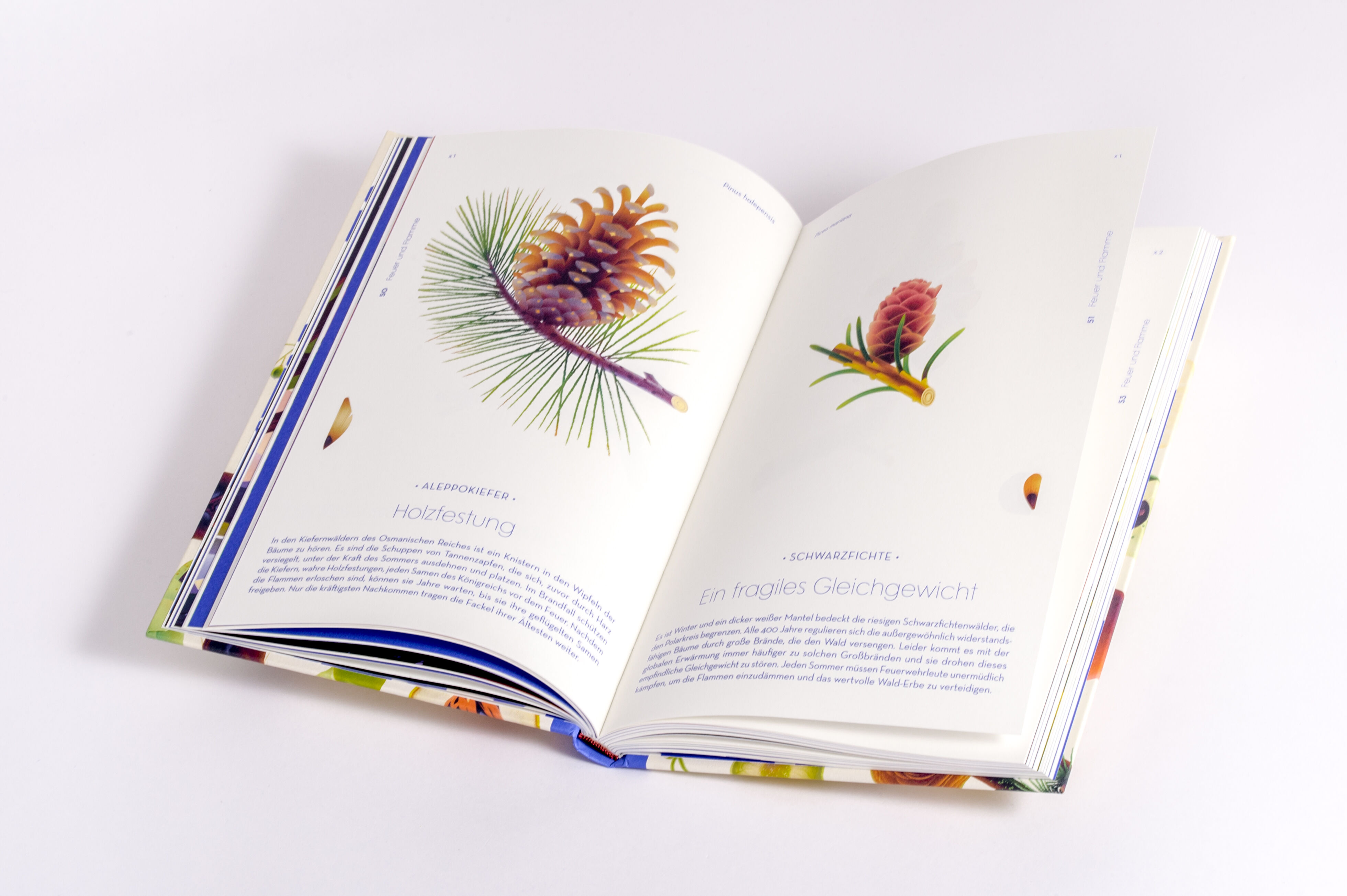 9783791376066_innenansicht_07 9783791376066_innenansicht_07.jpg