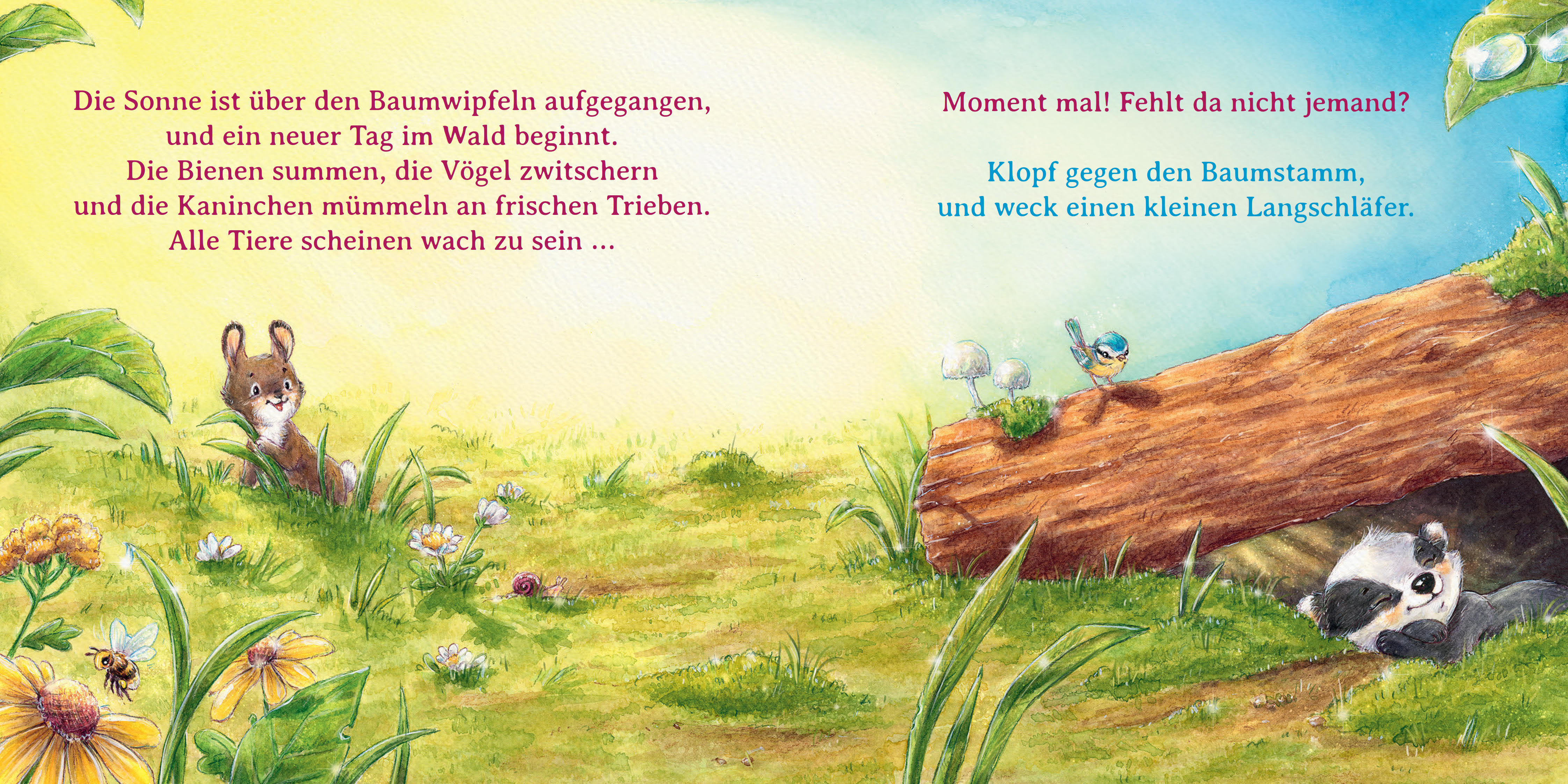 9783833909993_innenansicht_08.jpg