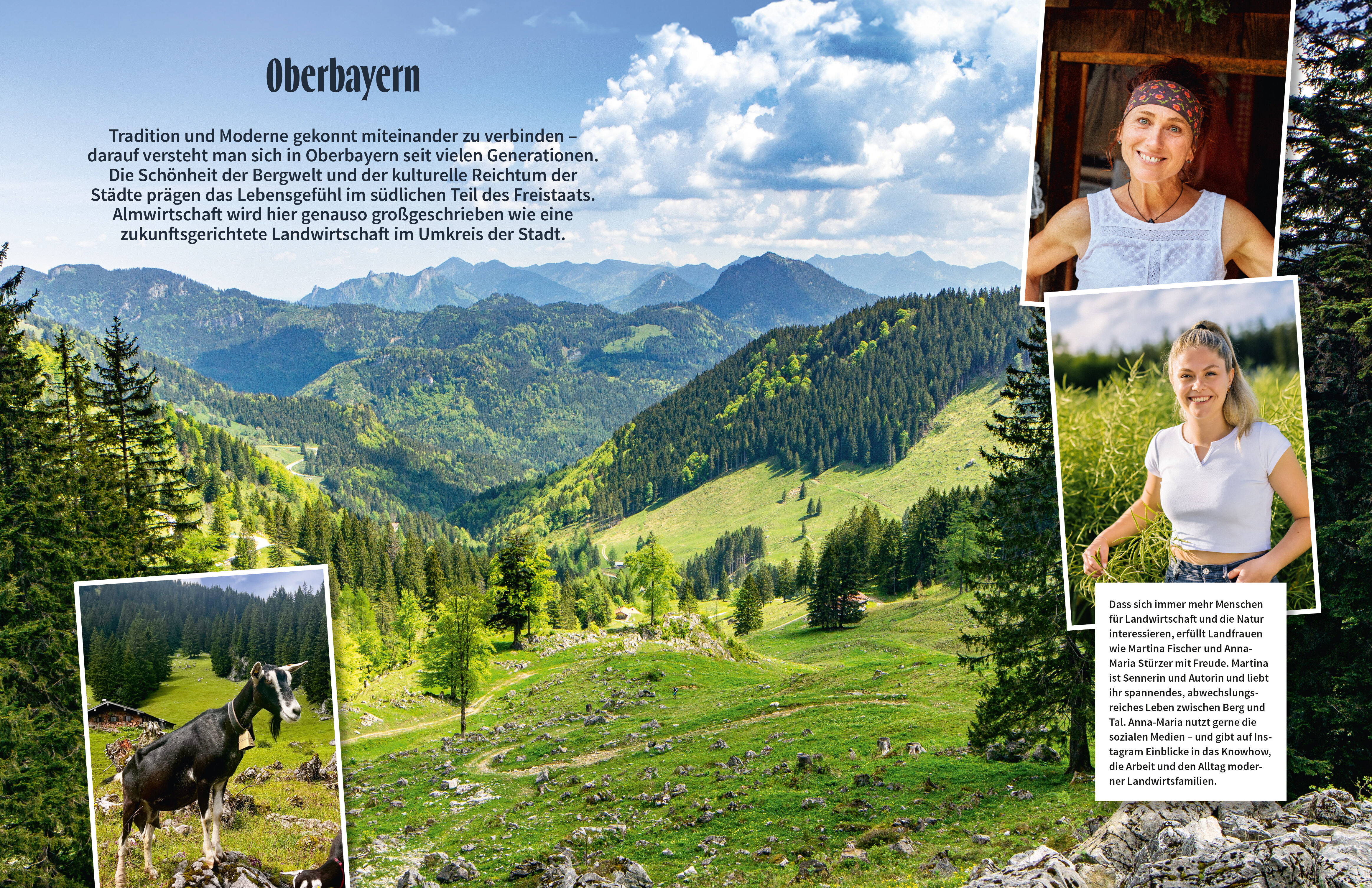 9783965844223_innenansicht_06 9783965844223_innenansicht_06.jpg