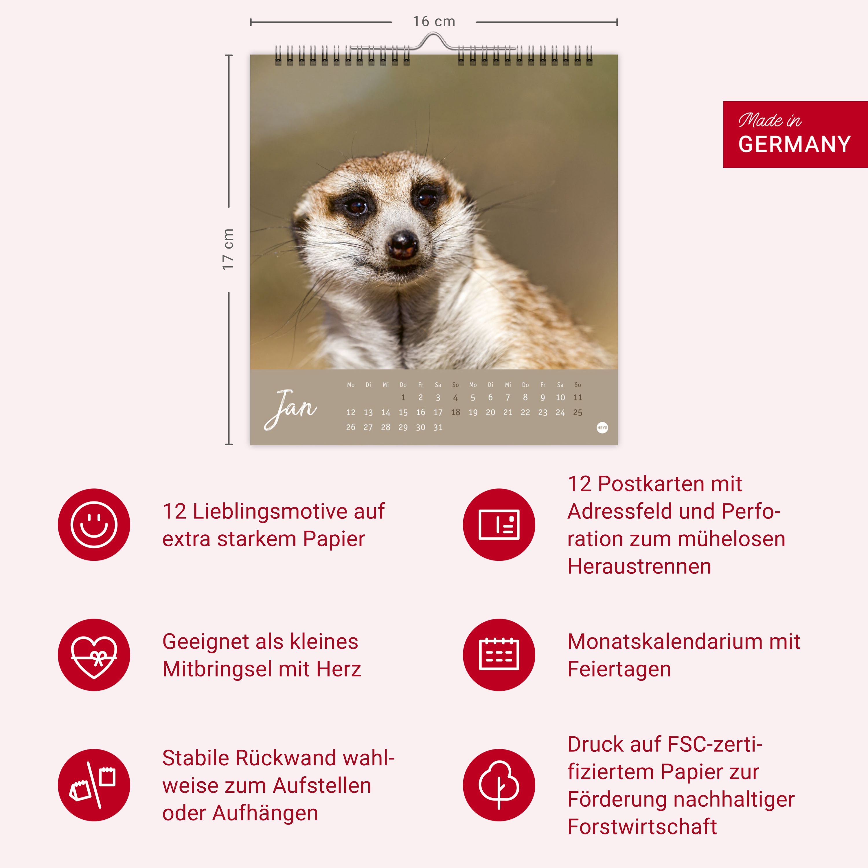 9783756410965_innenansicht_13.jpg