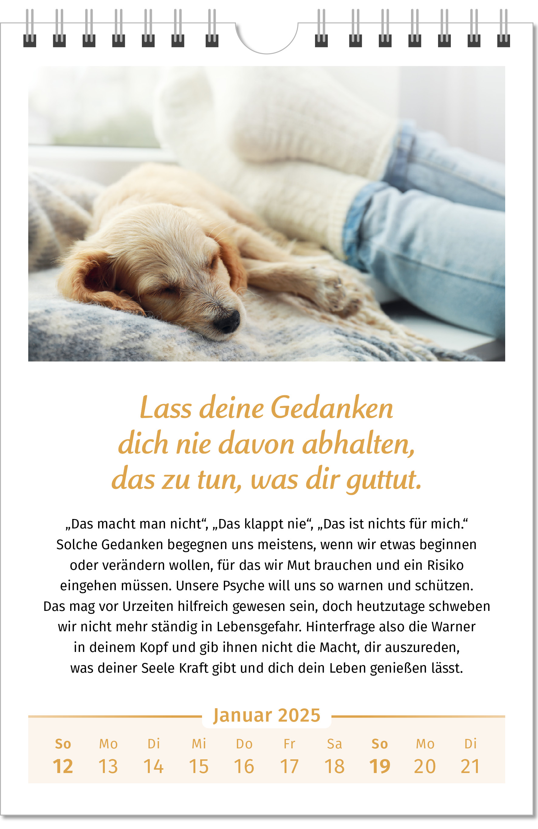 9783910294448_innenansicht_01.jpg