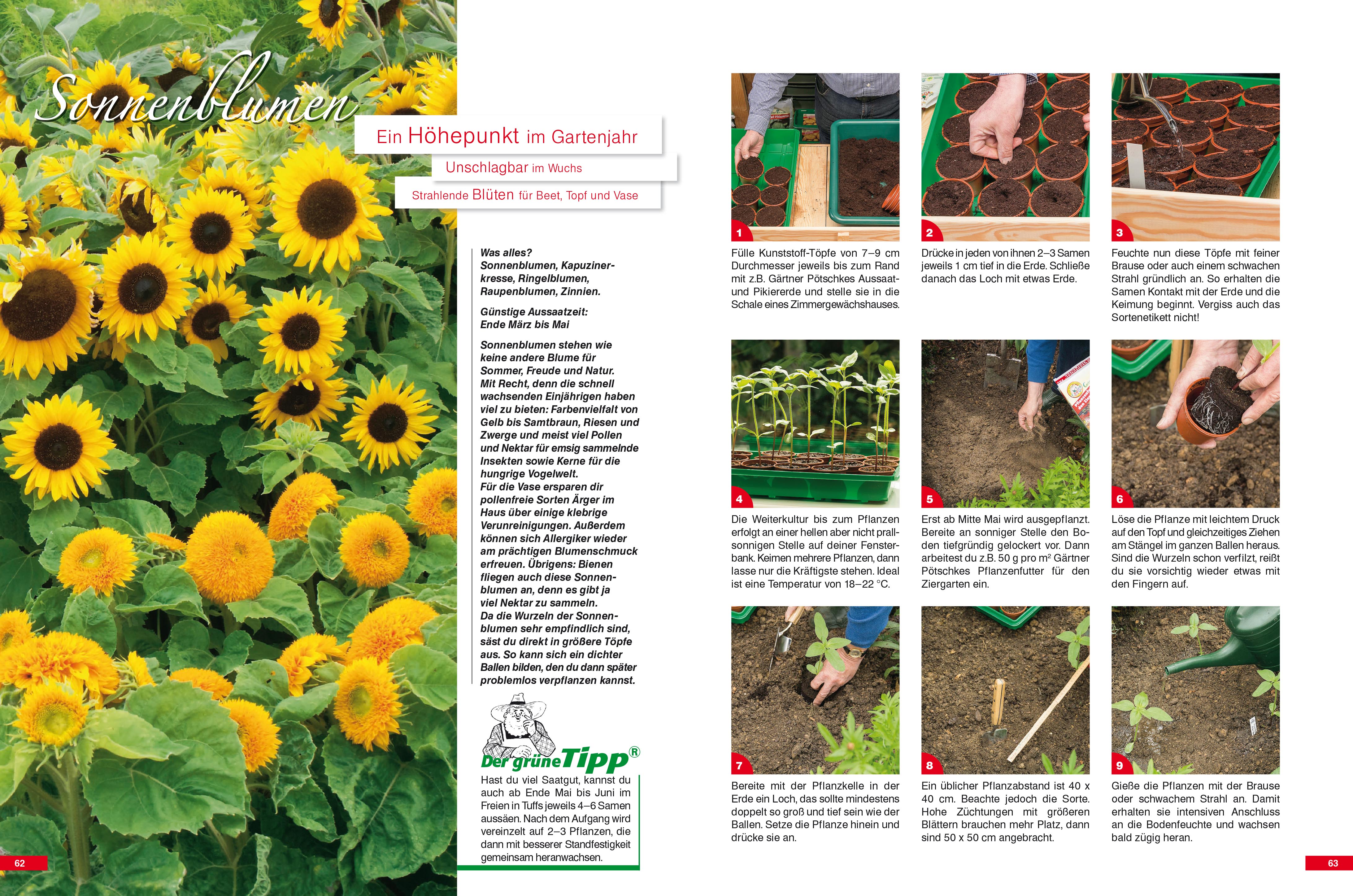 9783920362243_innenansicht_06 9783920362243_innenansicht_06.jpg