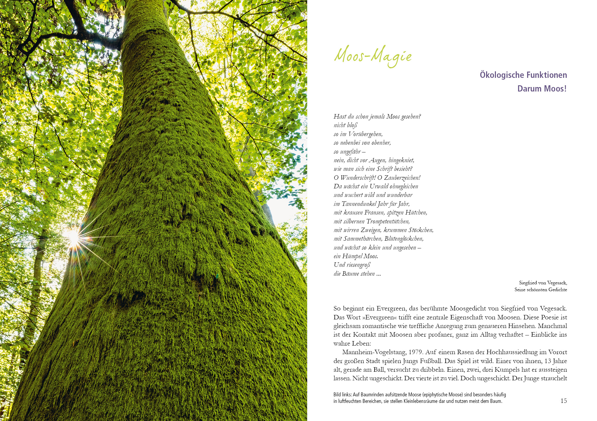 9783895663871_innenansicht_03 9783895663871_innenansicht_03.jpg