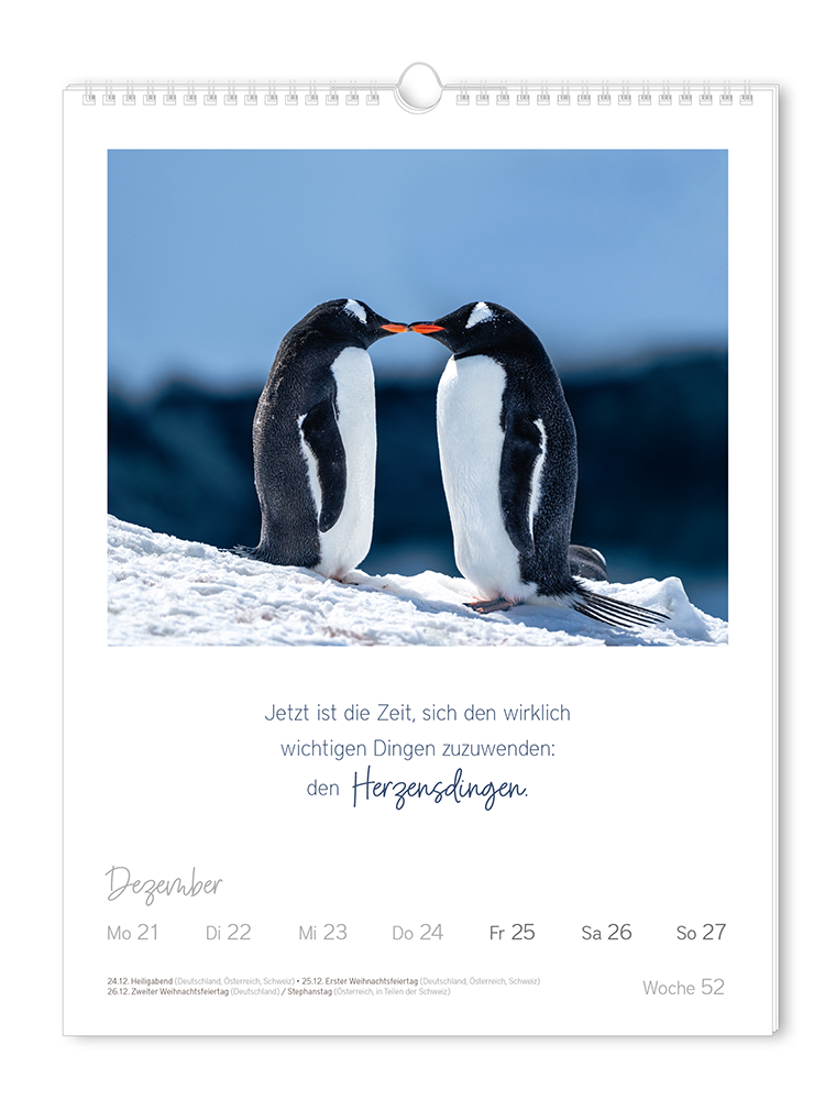 9783986361853_innenansicht_19.png