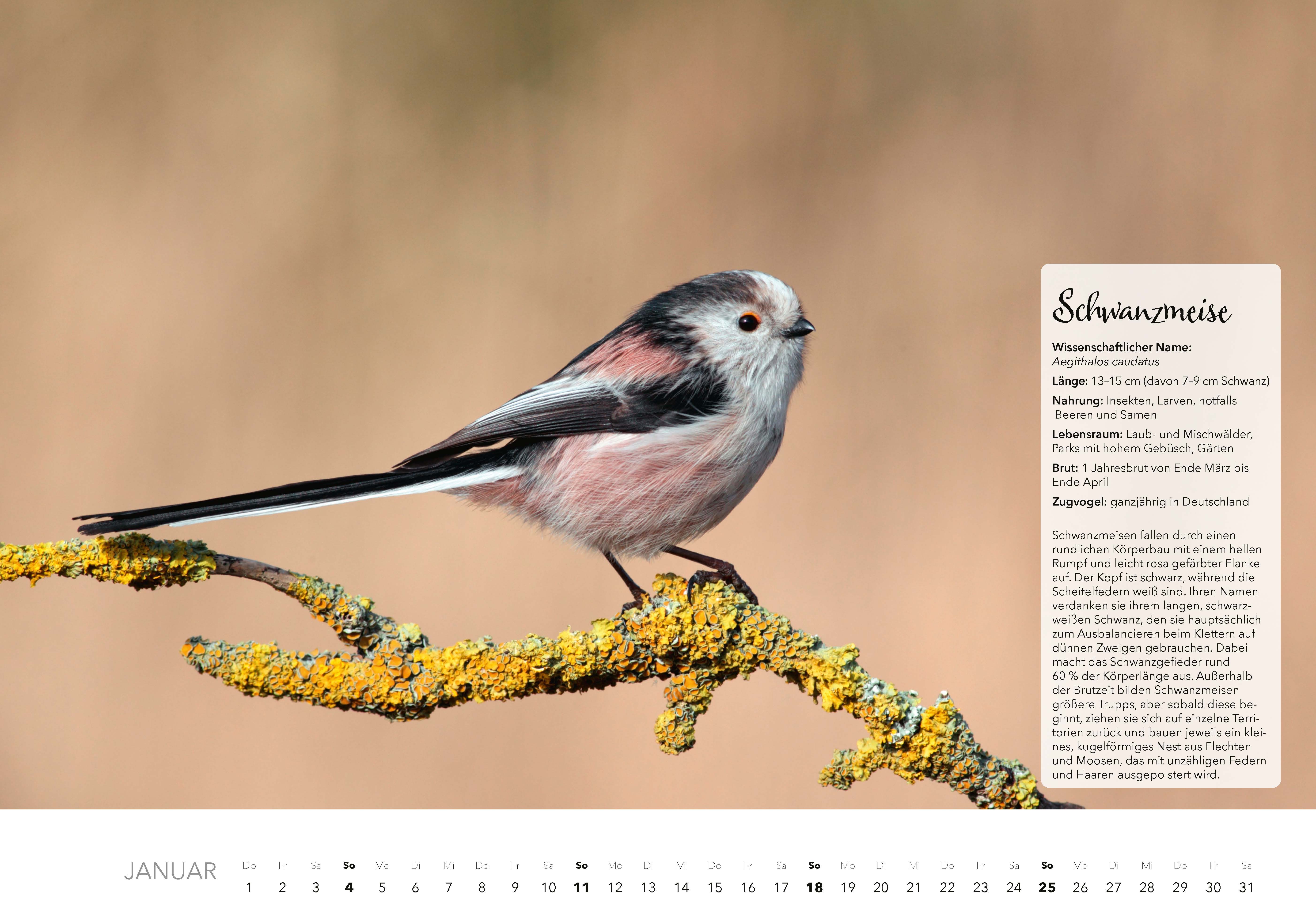 9783966649759_innenansicht_01 9783966649759_innenansicht_01.jpg