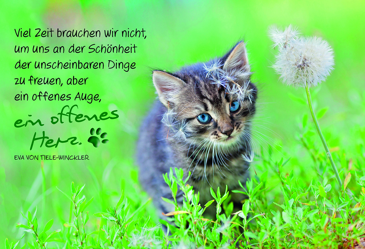 9783863387112_innenansicht_02 9783863387112_innenansicht_02.jpg