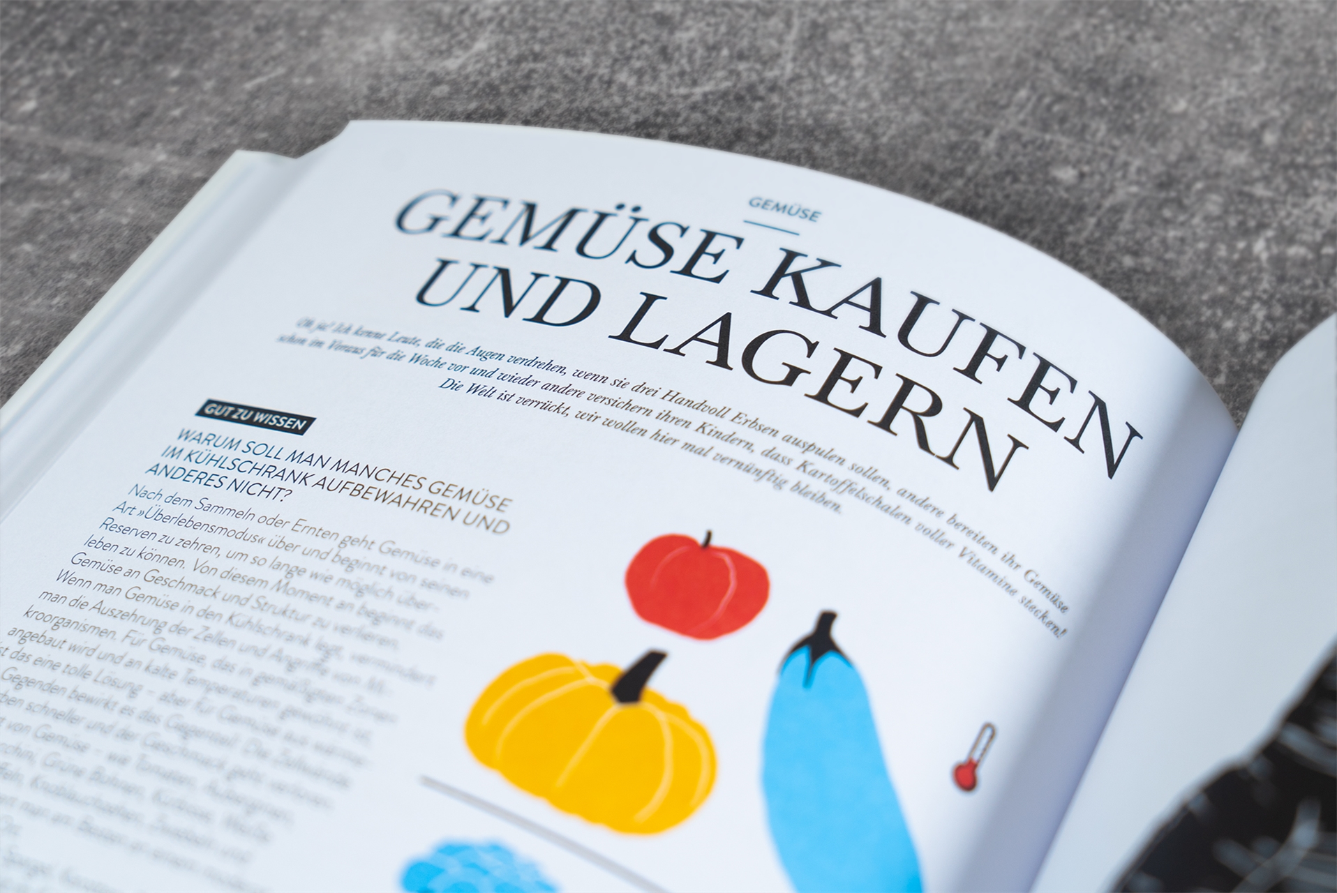 9783831040735_innenansicht_11.jpg