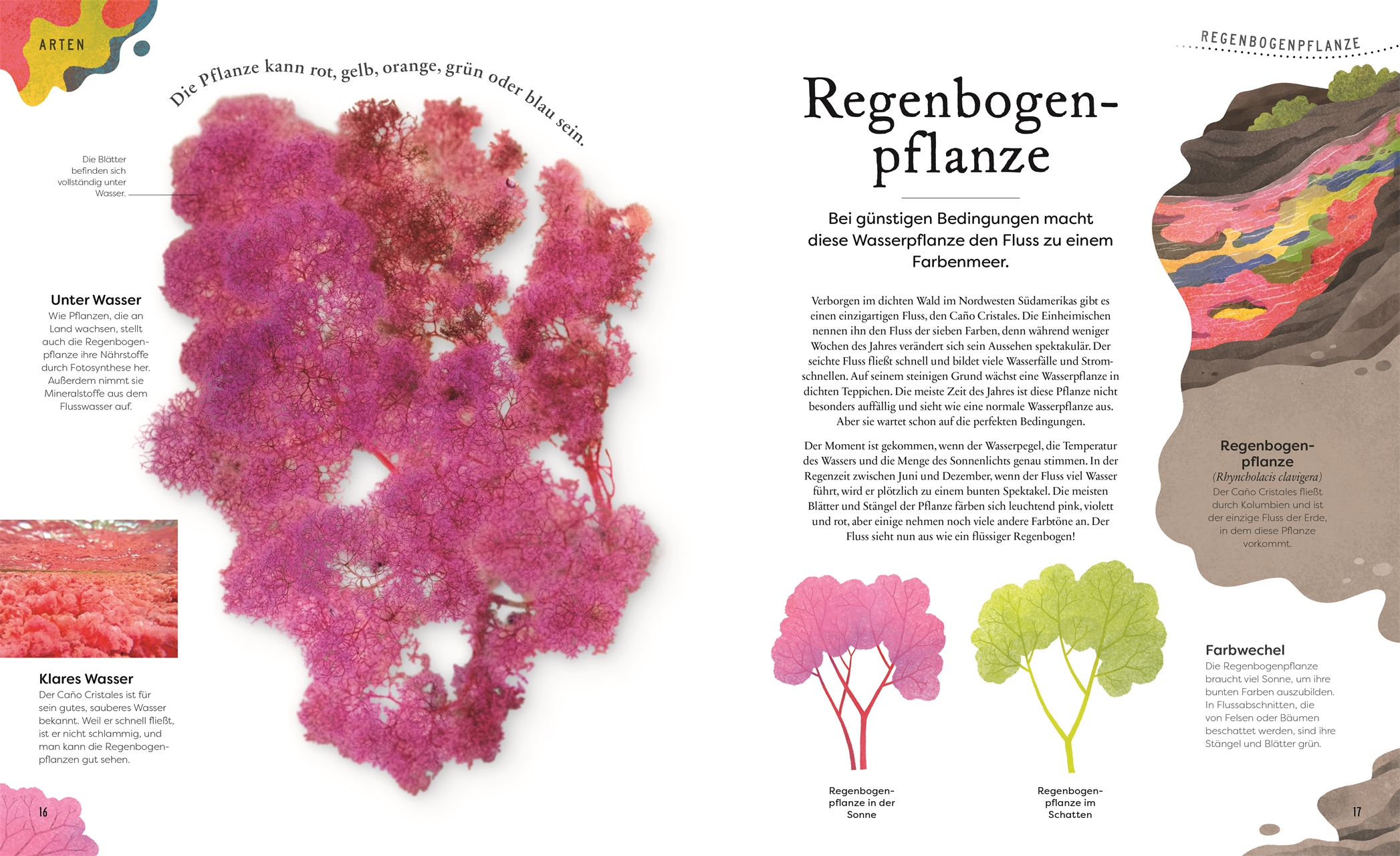 9783831049127_innenansicht_02 9783831049127_innenansicht_02.jpg