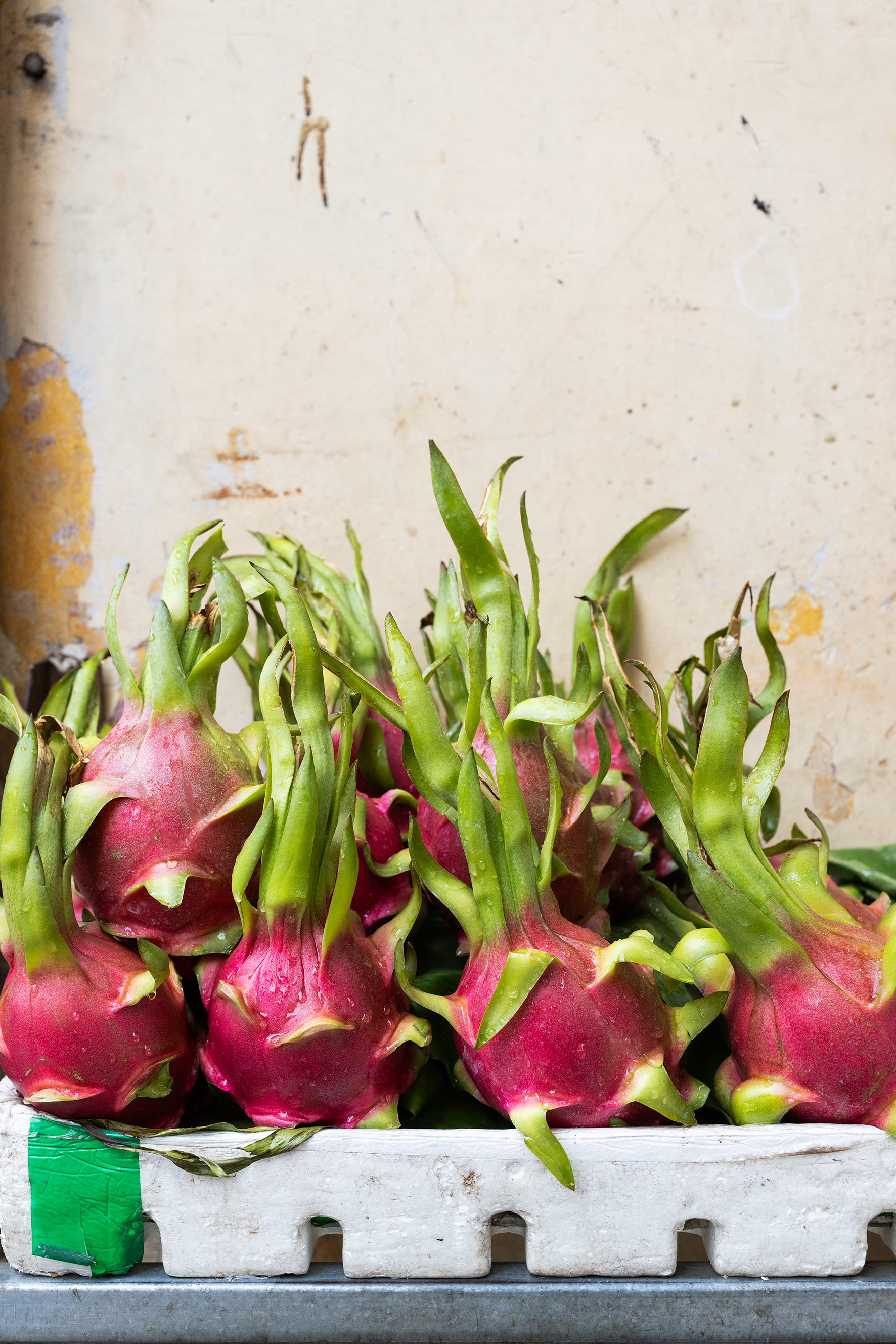 9783959618885_innenansicht_02 9783959618885_innenansicht_02.jpg