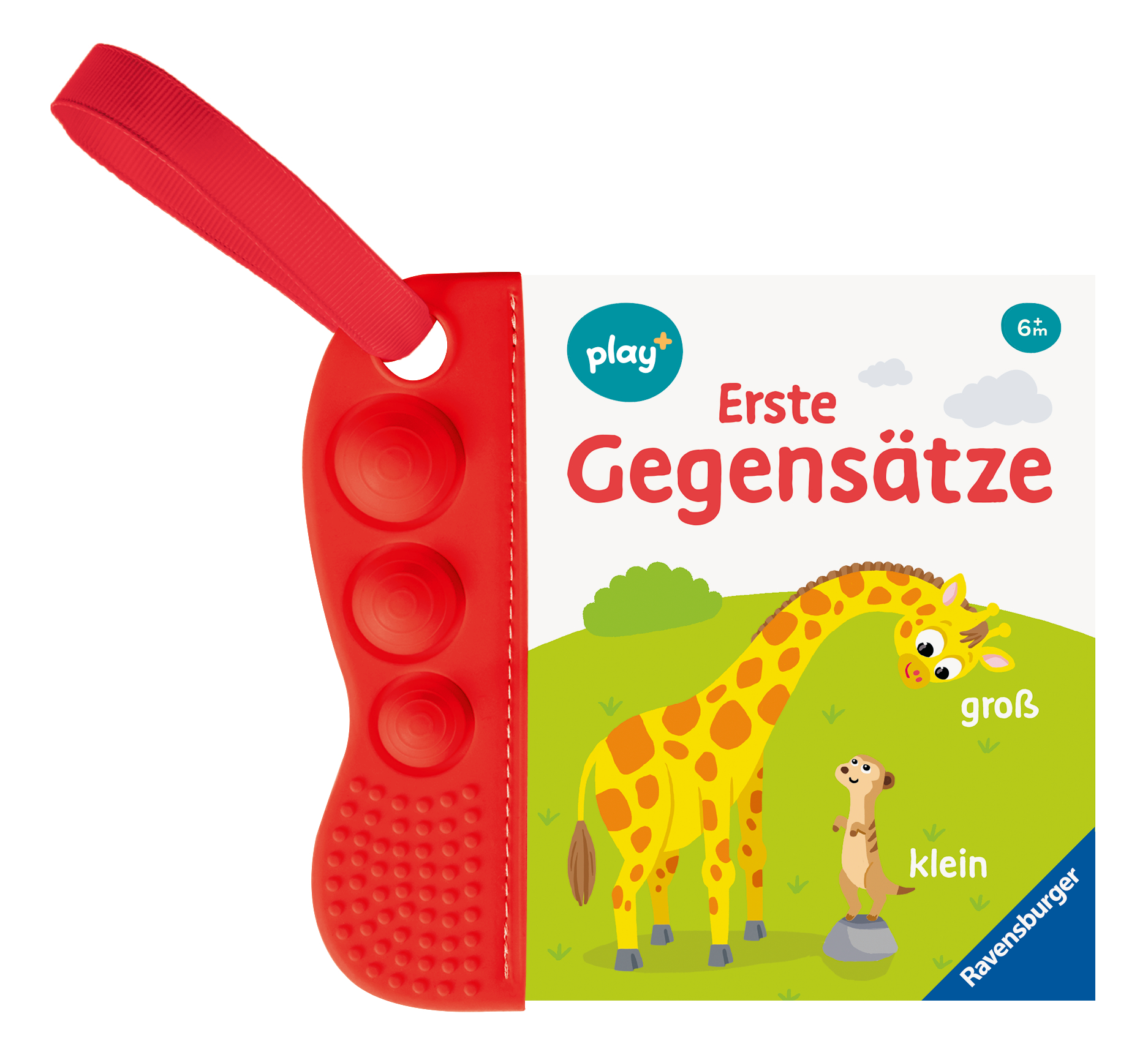 9783473456338_produktbild_01.jpg