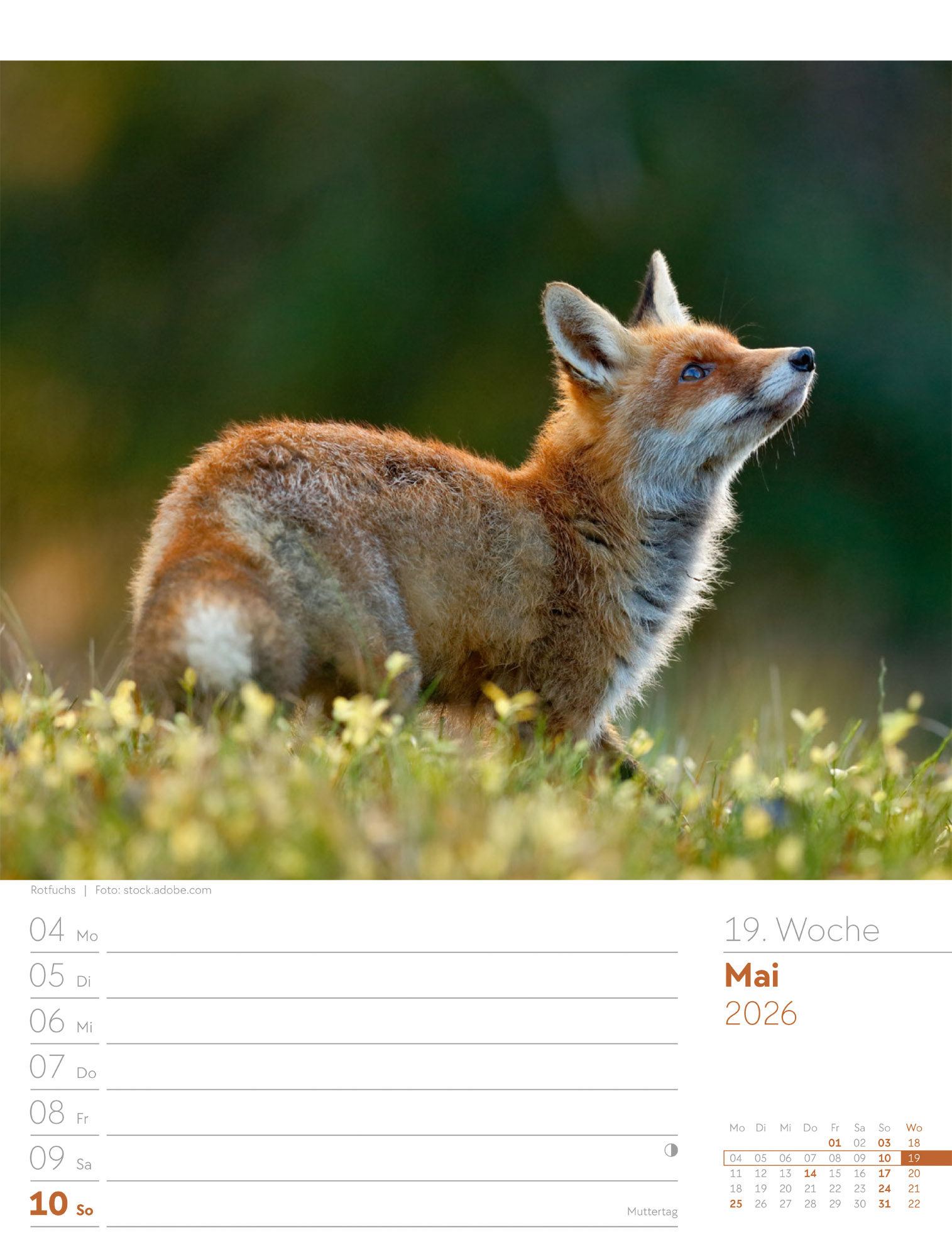 9783838426976_innenansicht_22 9783838426976_innenansicht_22.jpg