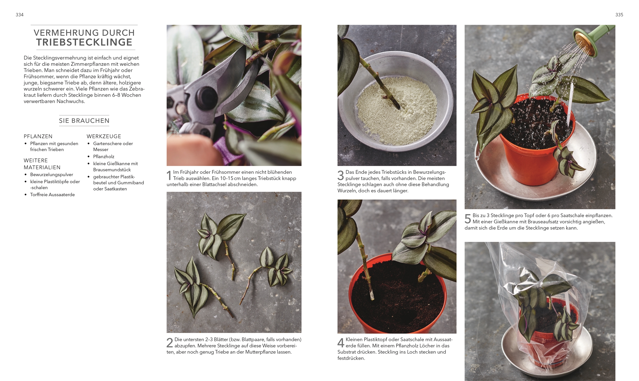 9783831049264_innenansicht_08 9783831049264_innenansicht_08.jpg