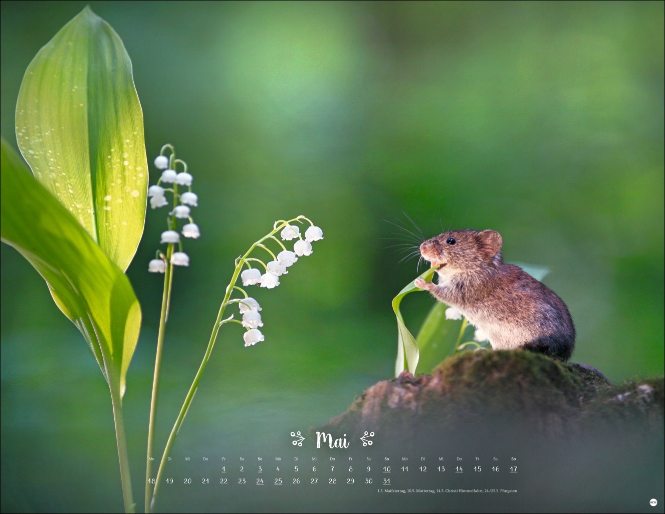 9783756411672_innenansicht_05 9783756411672_innenansicht_05.jpg