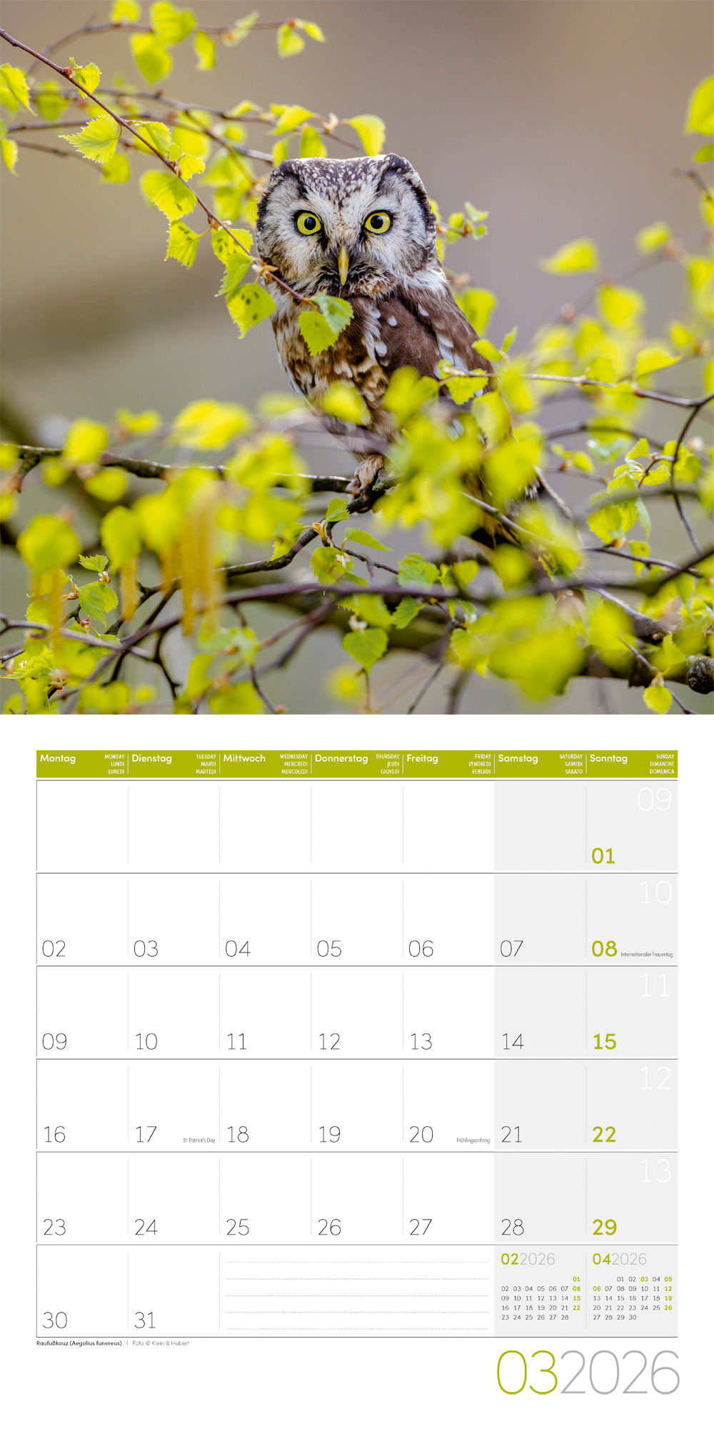 9783838446240_innenansicht_03 9783838446240_innenansicht_03.jpg