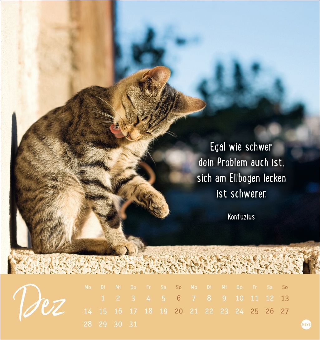 9783756411948_innenansicht_13.jpg