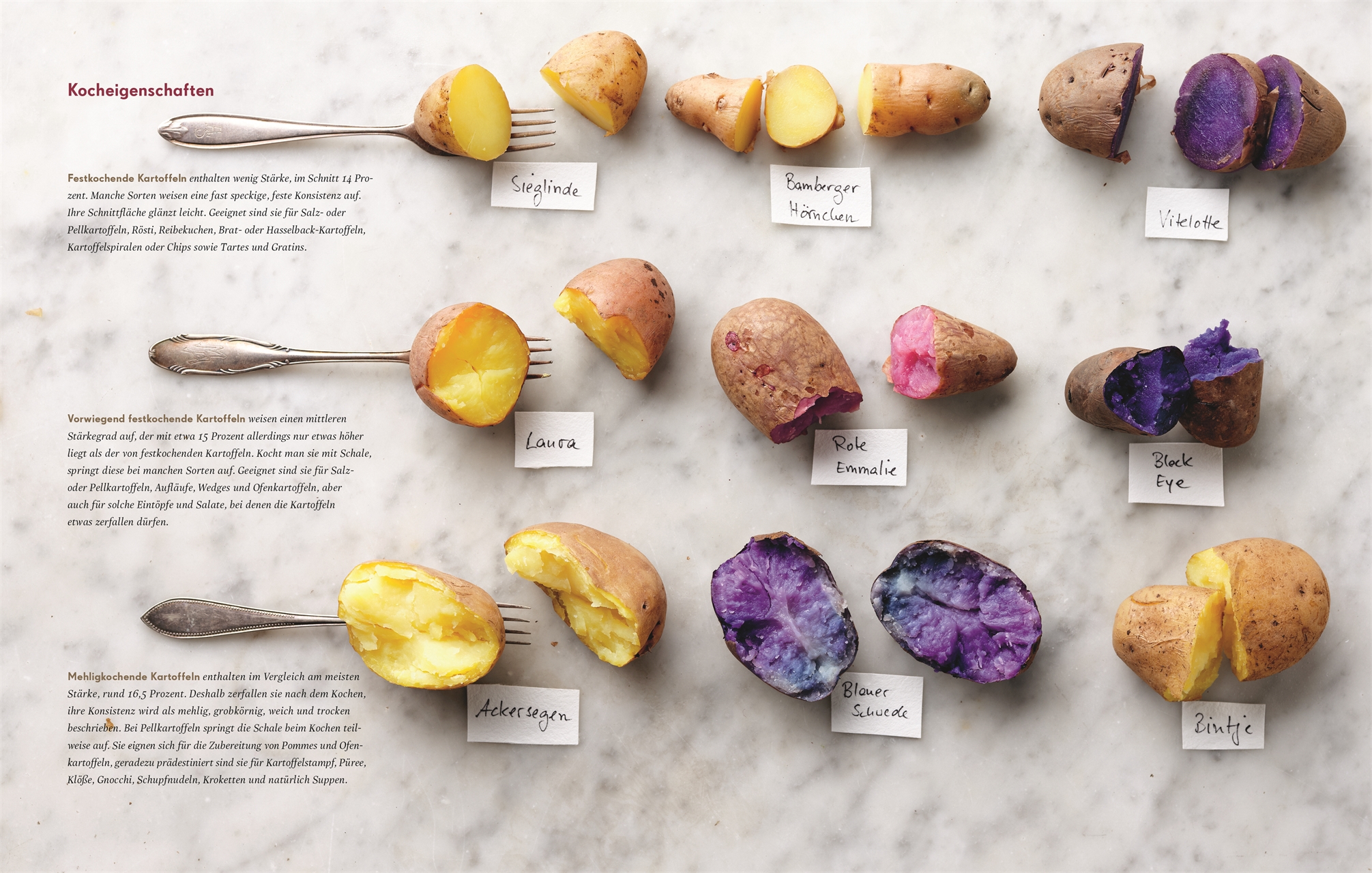 9783831042746_innenansicht_04 9783831042746_innenansicht_04.jpg