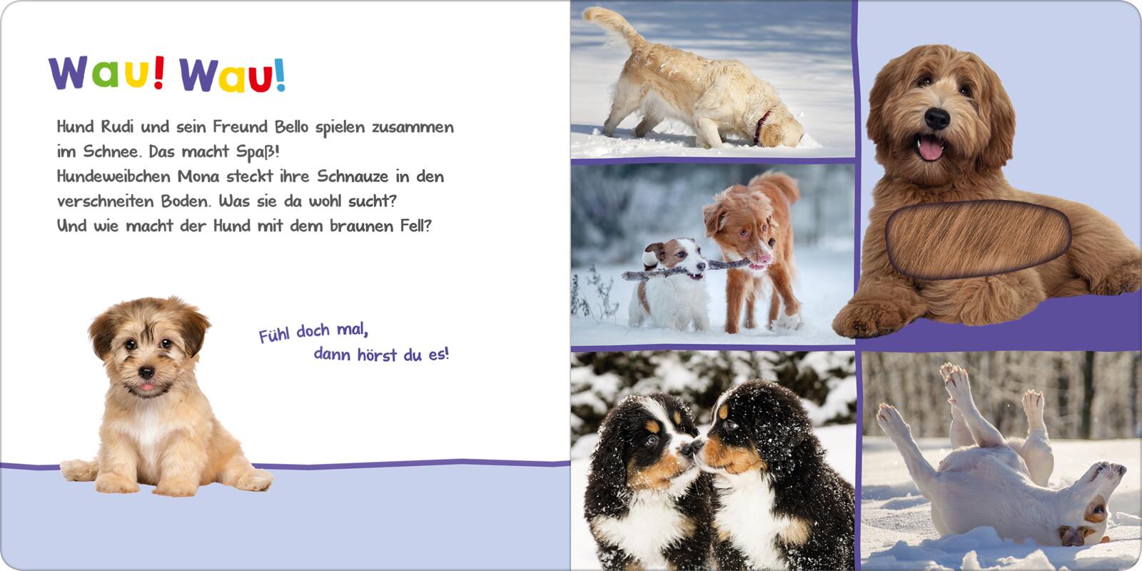 9783845848082_innenansicht_02.jpg