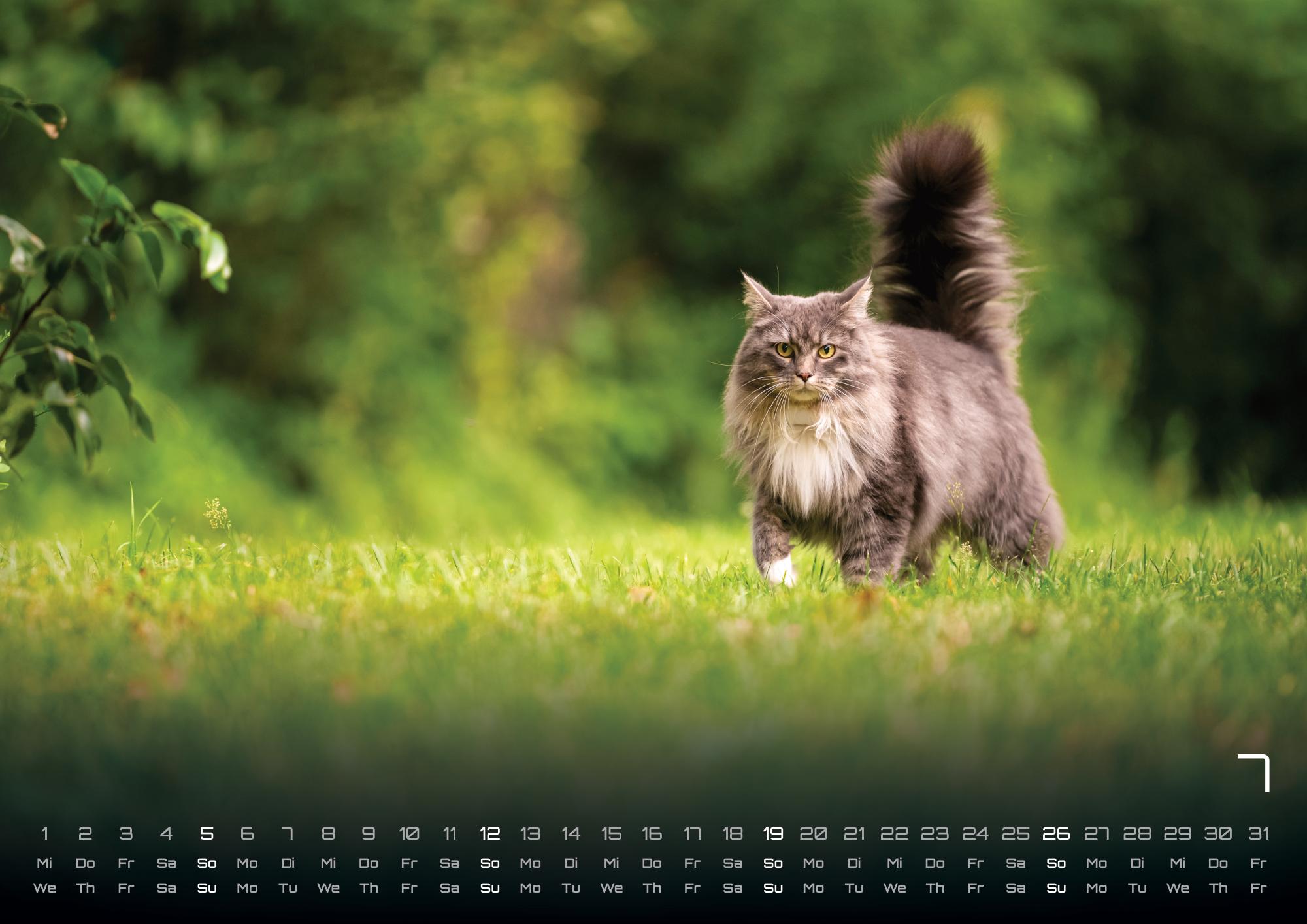 9783986735463_innenansicht_07 9783986735463_innenansicht_07.jpg