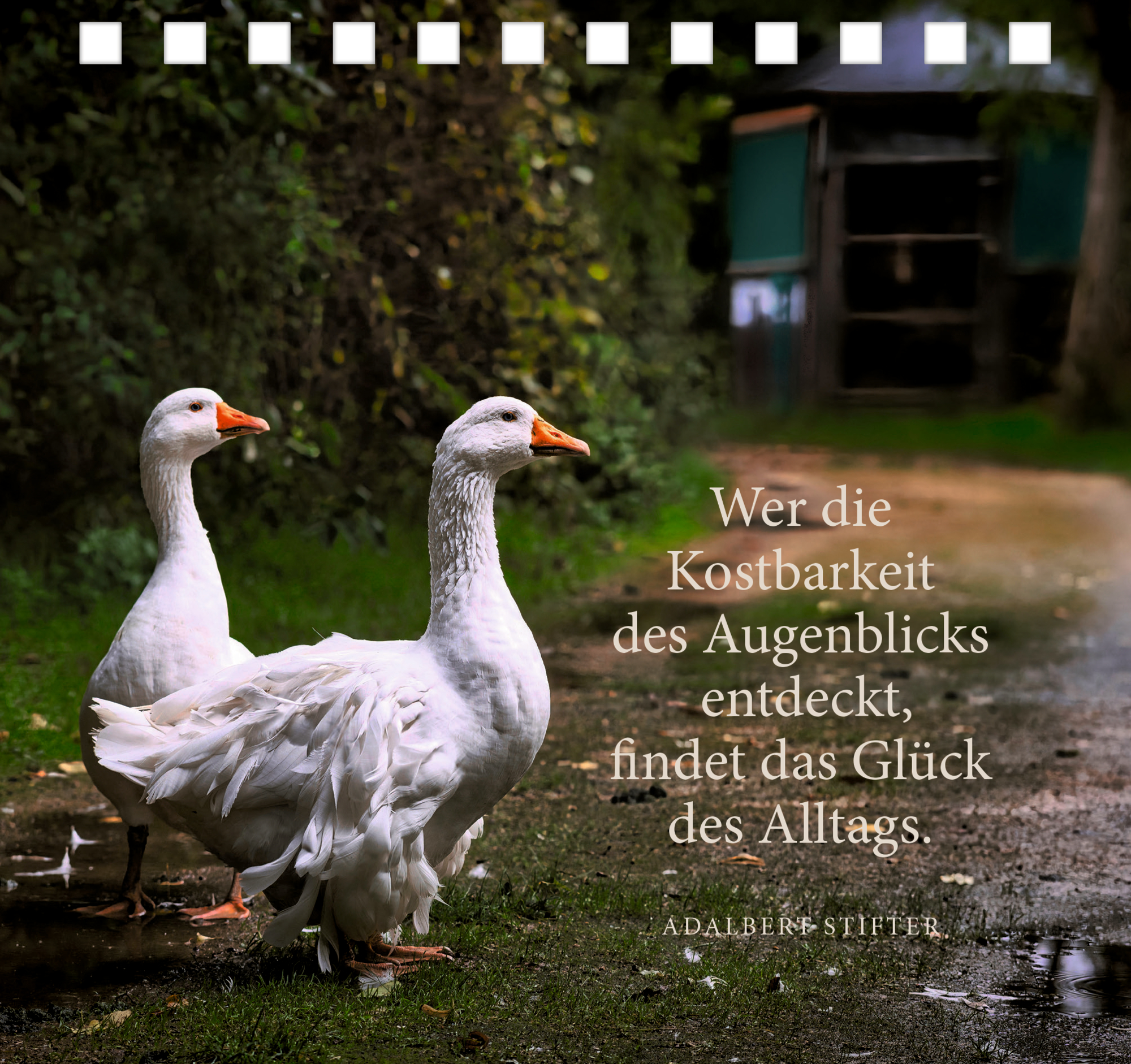 9783649648772_innenansicht_01.jpg