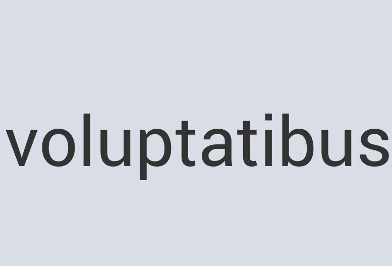 Enormous Marble Power Tortoise