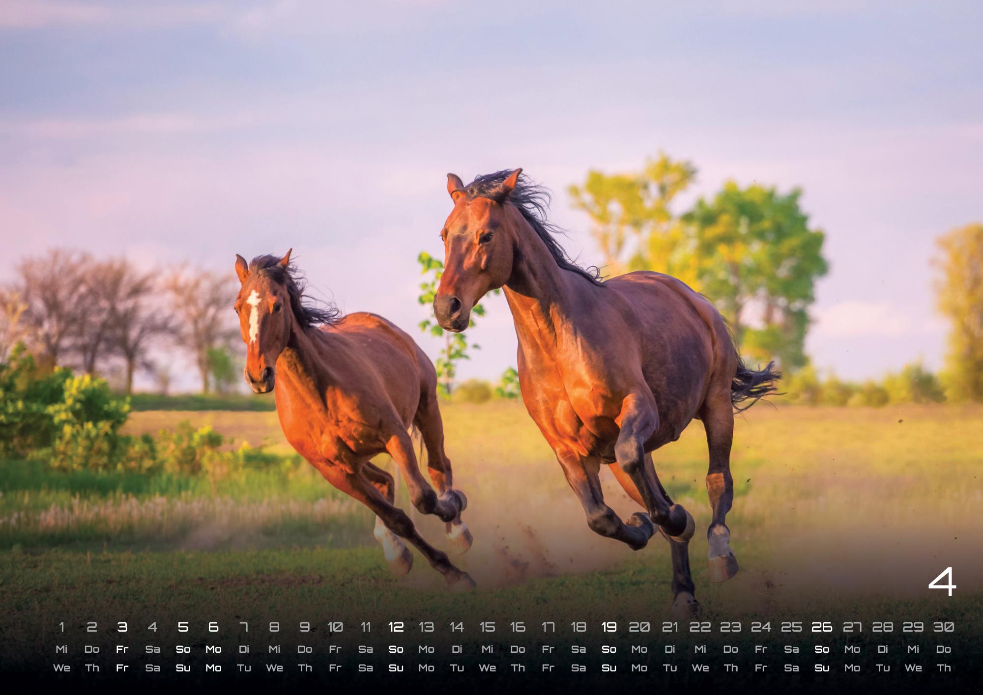 9783986735654_innenansicht_04 9783986735654_innenansicht_04.jpg