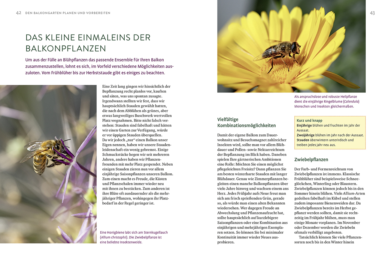 9783818624705_innenansicht_05.jpg