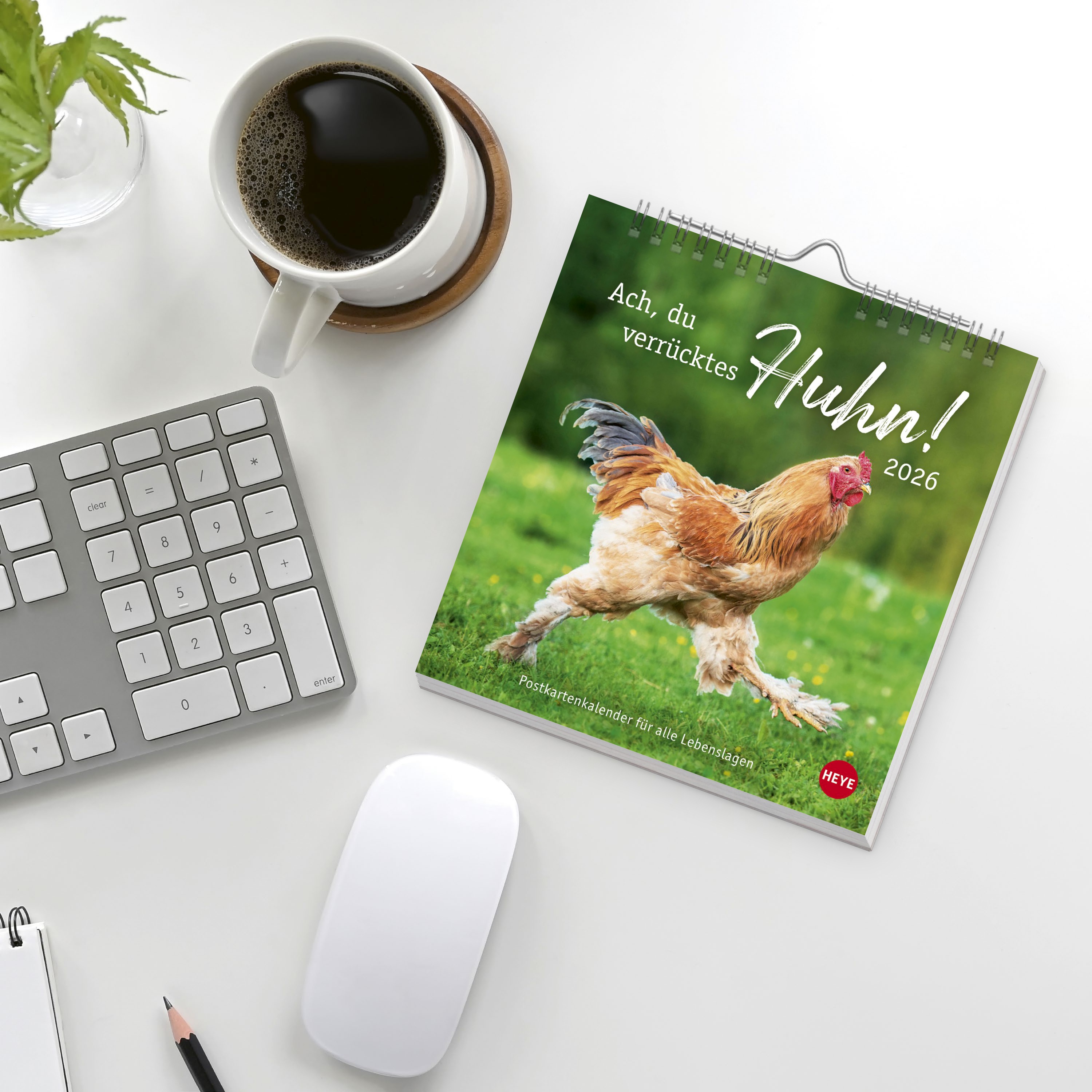 9783756412310_weiterecover_01 9783756412310_weiterecover_01.jpg