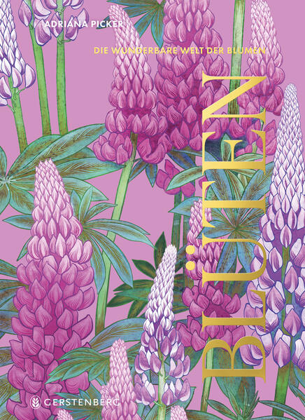 9783836922081 9783836922081