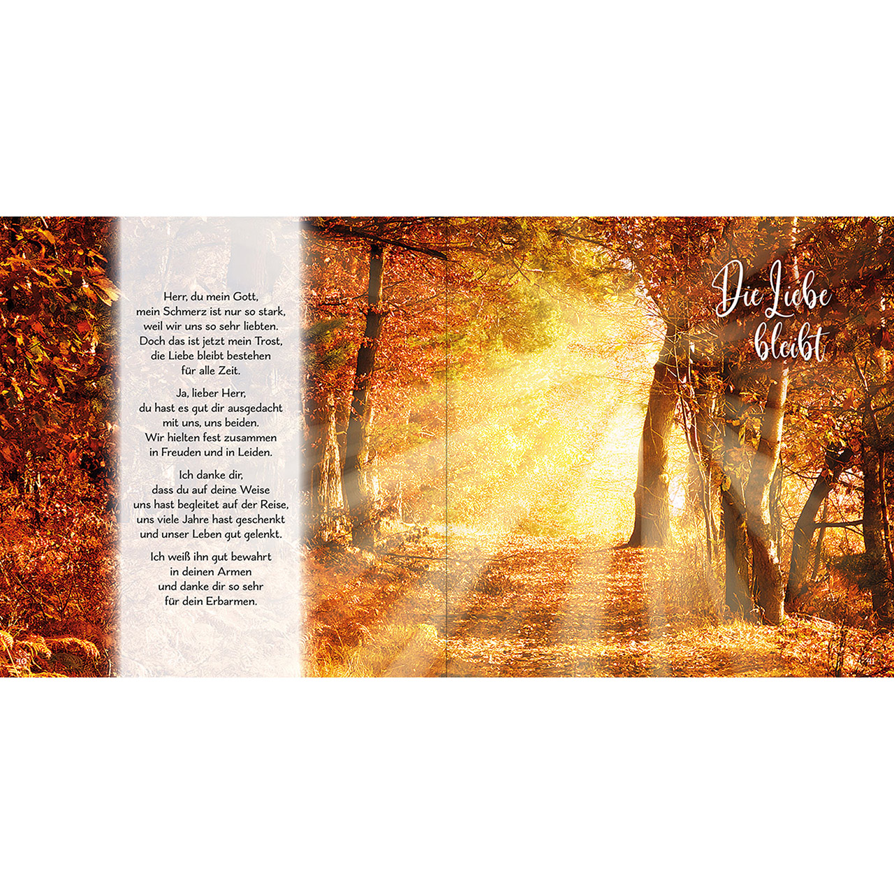 9783842935815_innenansicht_06 9783842935815_innenansicht_06.jpg