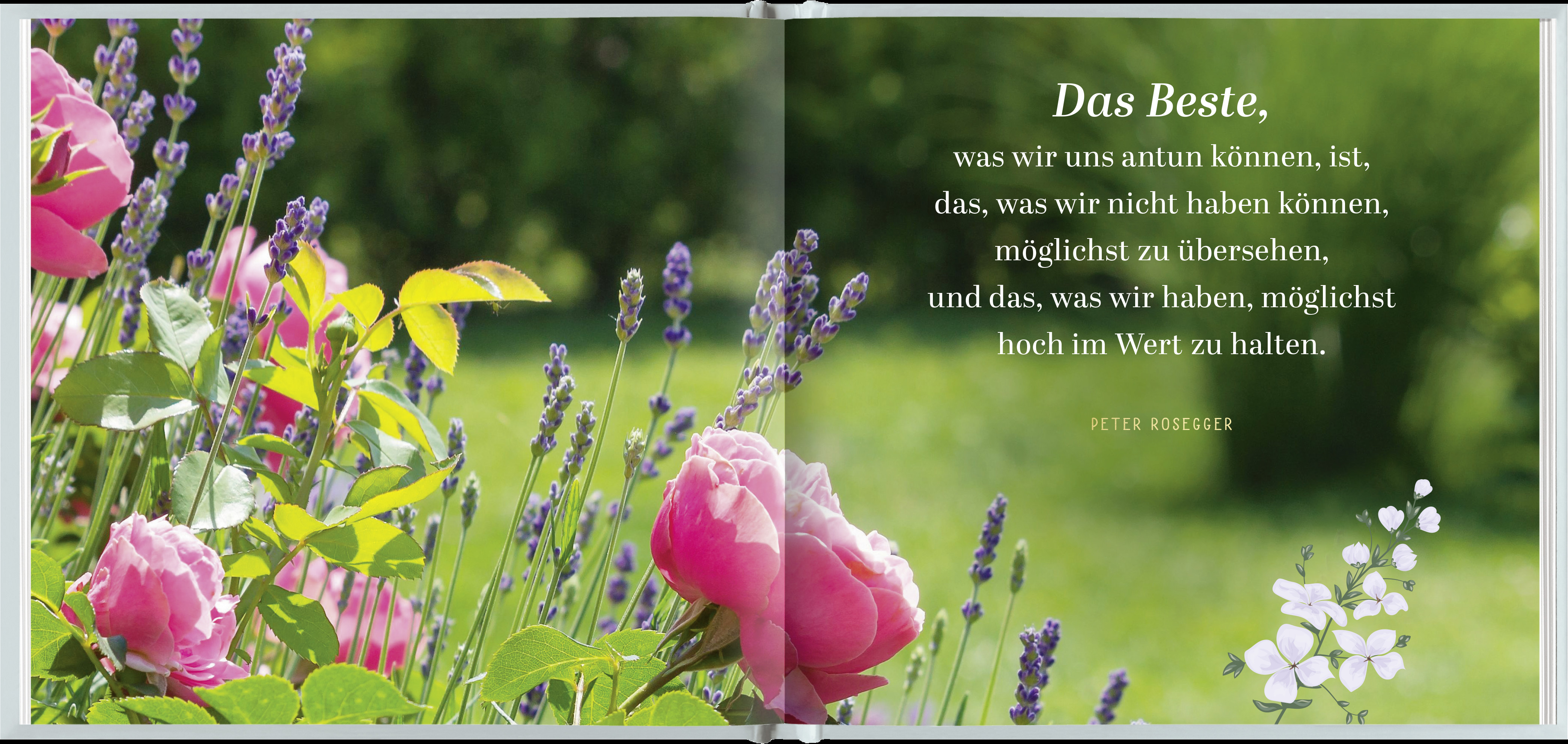 9783848501632_innenansicht_01.jpg