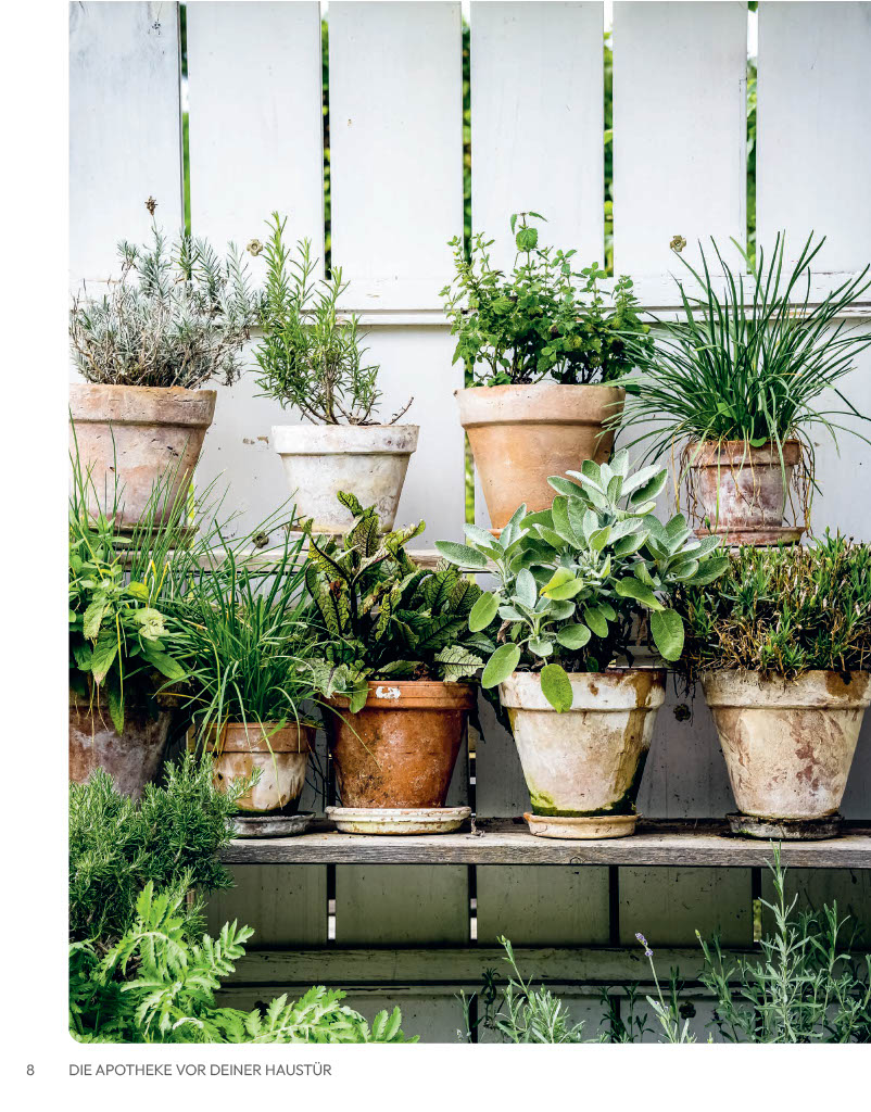 9783910801110_innenansicht_04 9783910801110_innenansicht_04.jpg