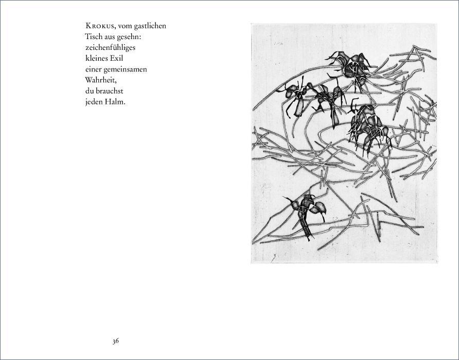 9783518224618_innenansicht_03 9783518224618_innenansicht_03.jpg