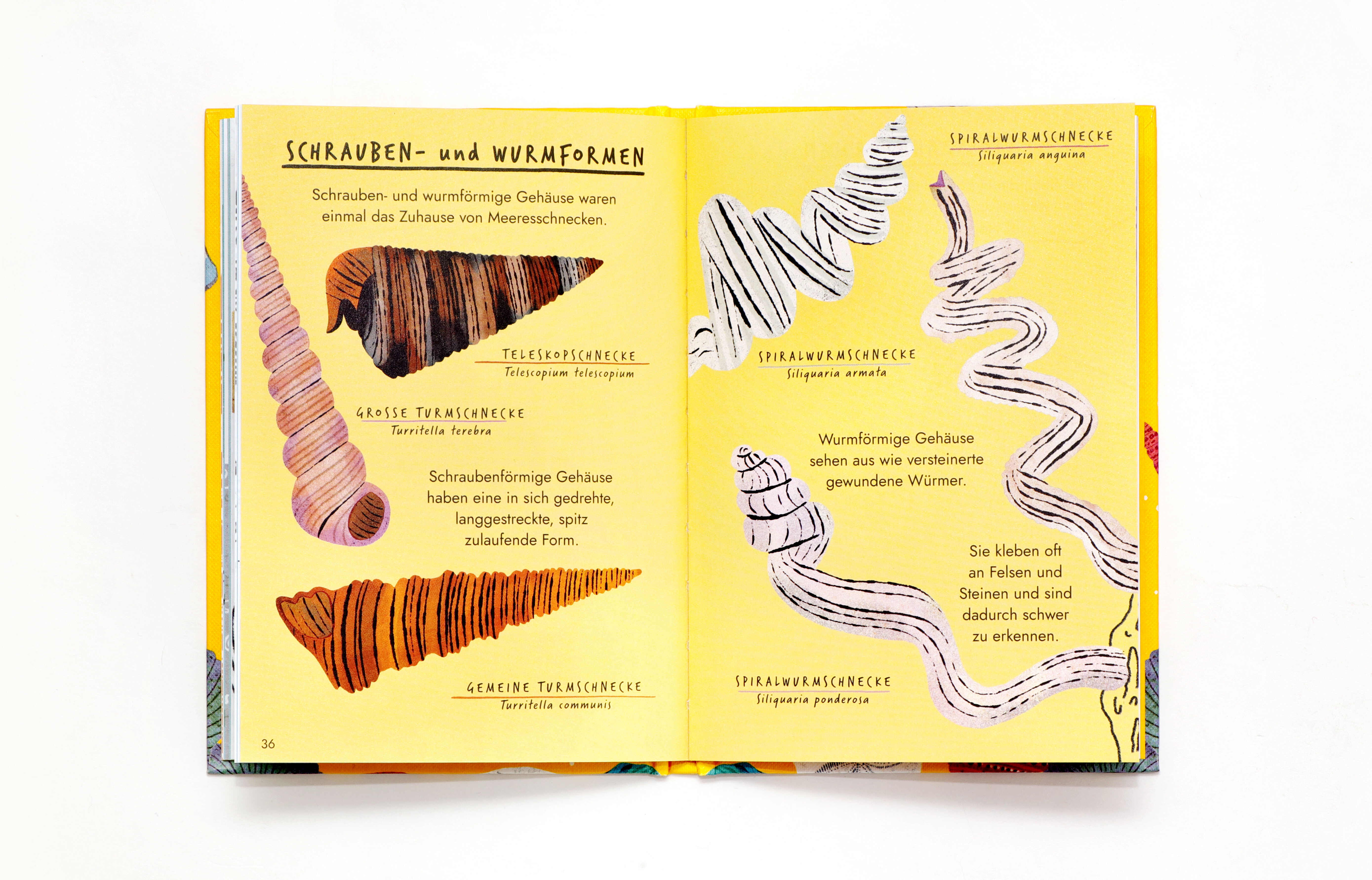 9783962444242_produktbild_09 9783962444242_produktbild_09.jpg