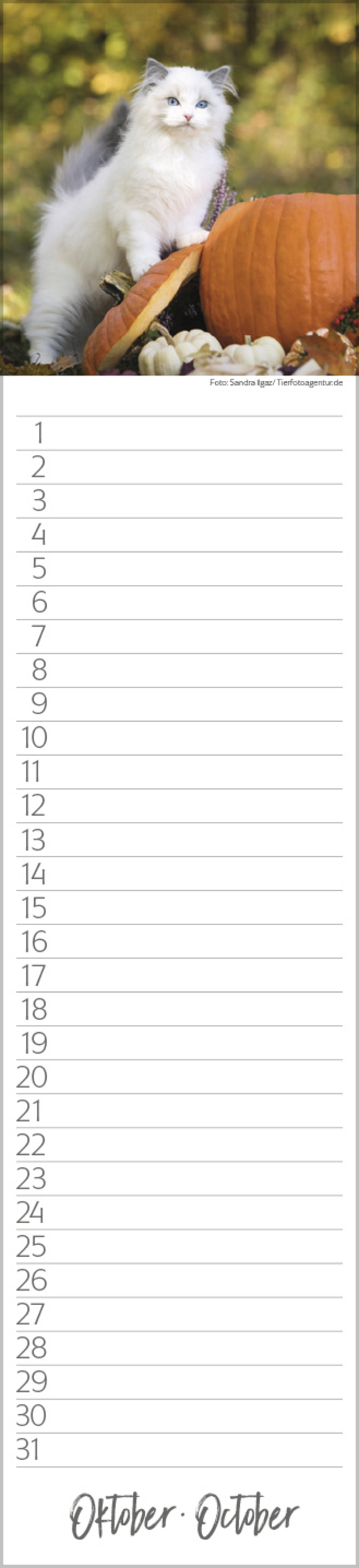 9783731887638_innenansicht_10 9783731887638_innenansicht_10.jpg