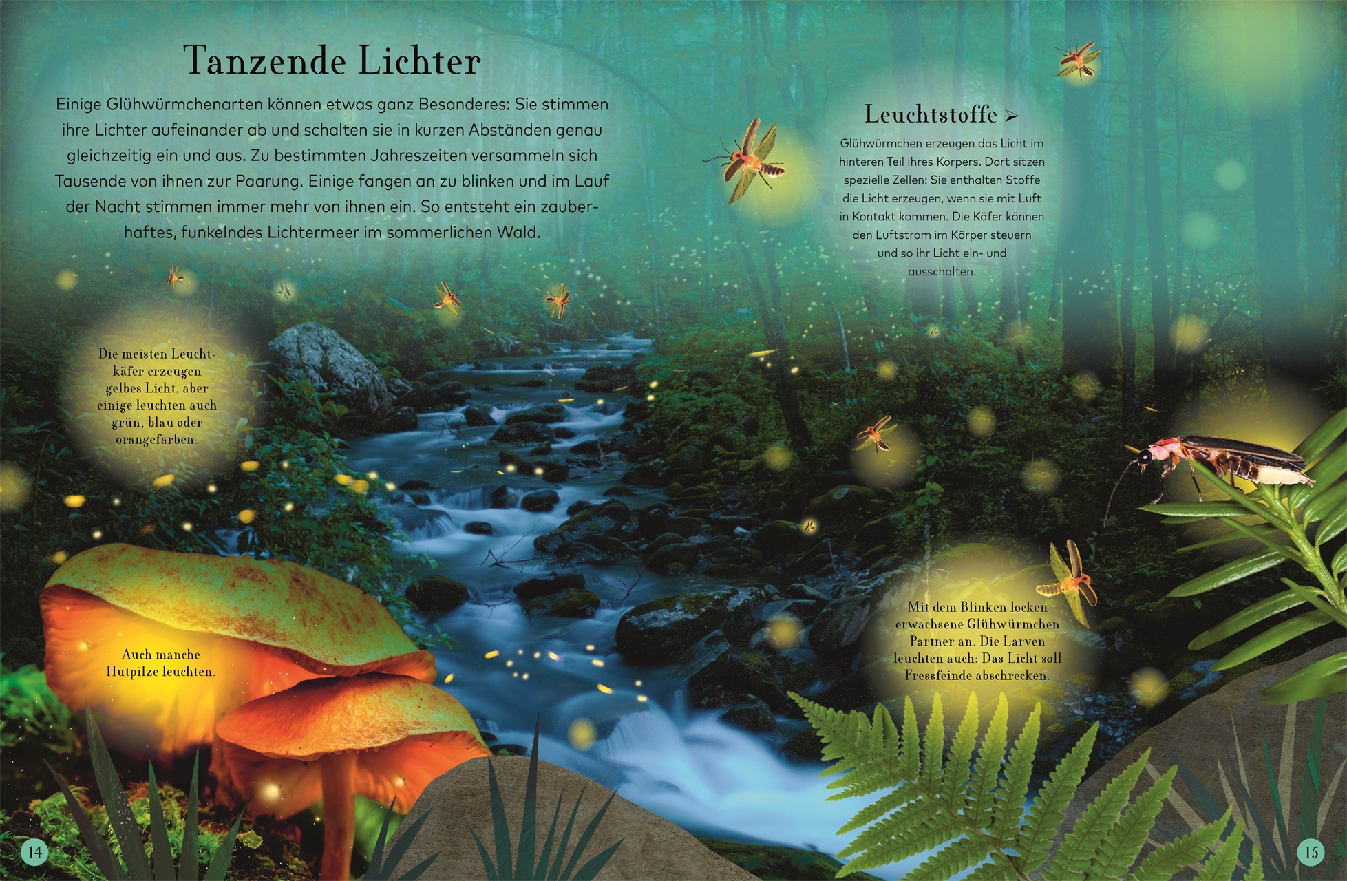 9783831041244_innenansicht_06 9783831041244_innenansicht_06.jpg