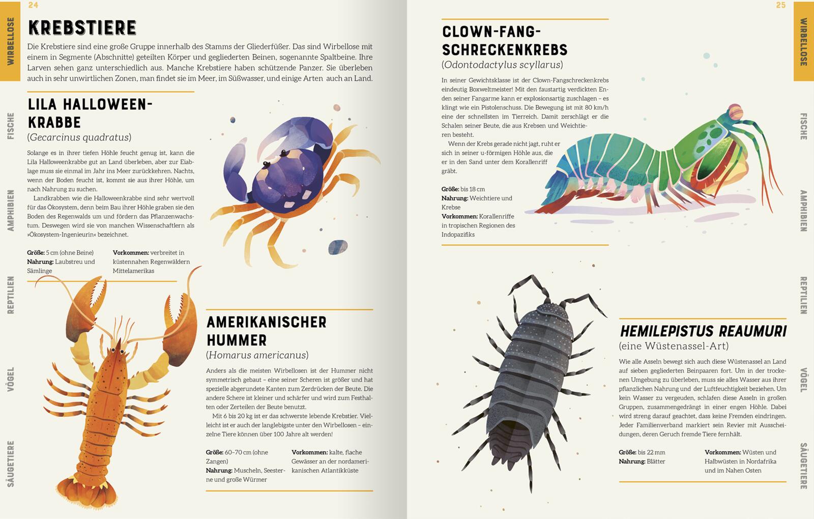 9783845848297_innenansicht_01 9783845848297_innenansicht_01.jpg