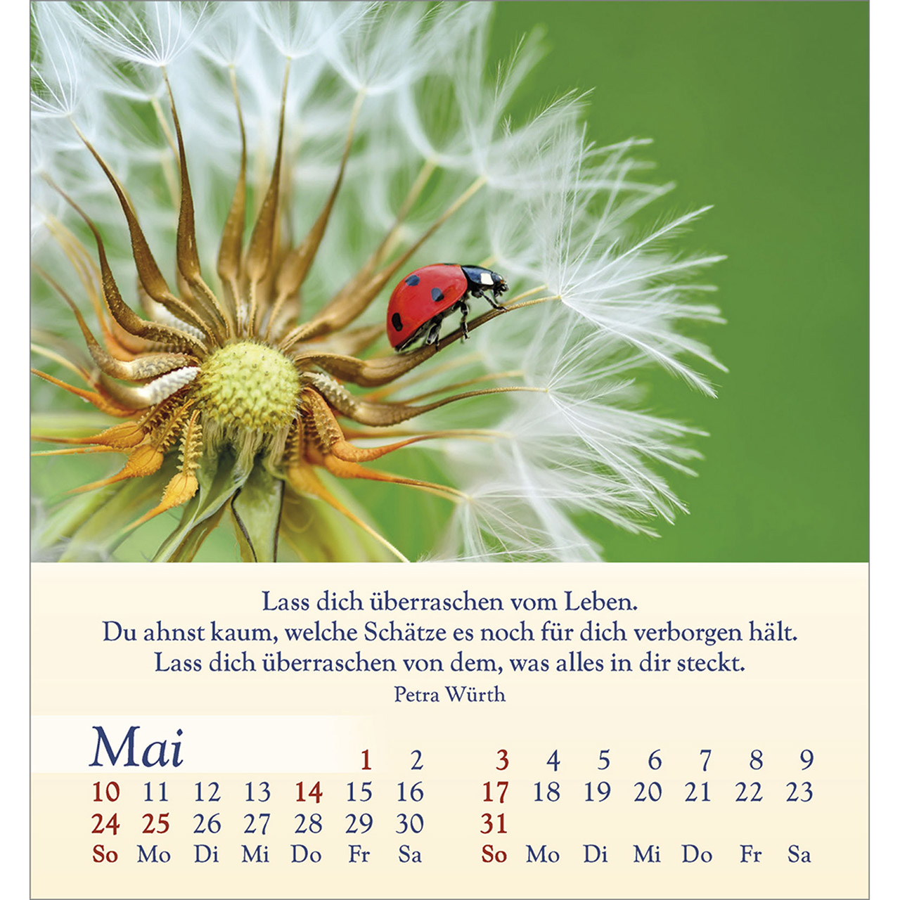 9783754834060_innenansicht_05 9783754834060_innenansicht_05.jpg