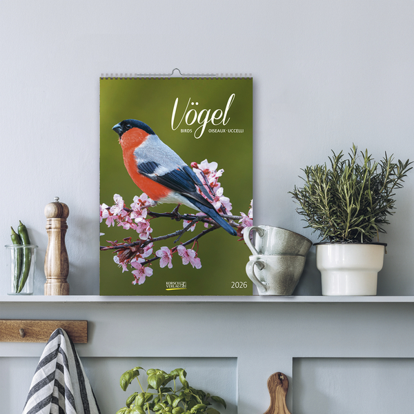 9783731883647_innenansicht_13 9783731883647_innenansicht_13.jpg