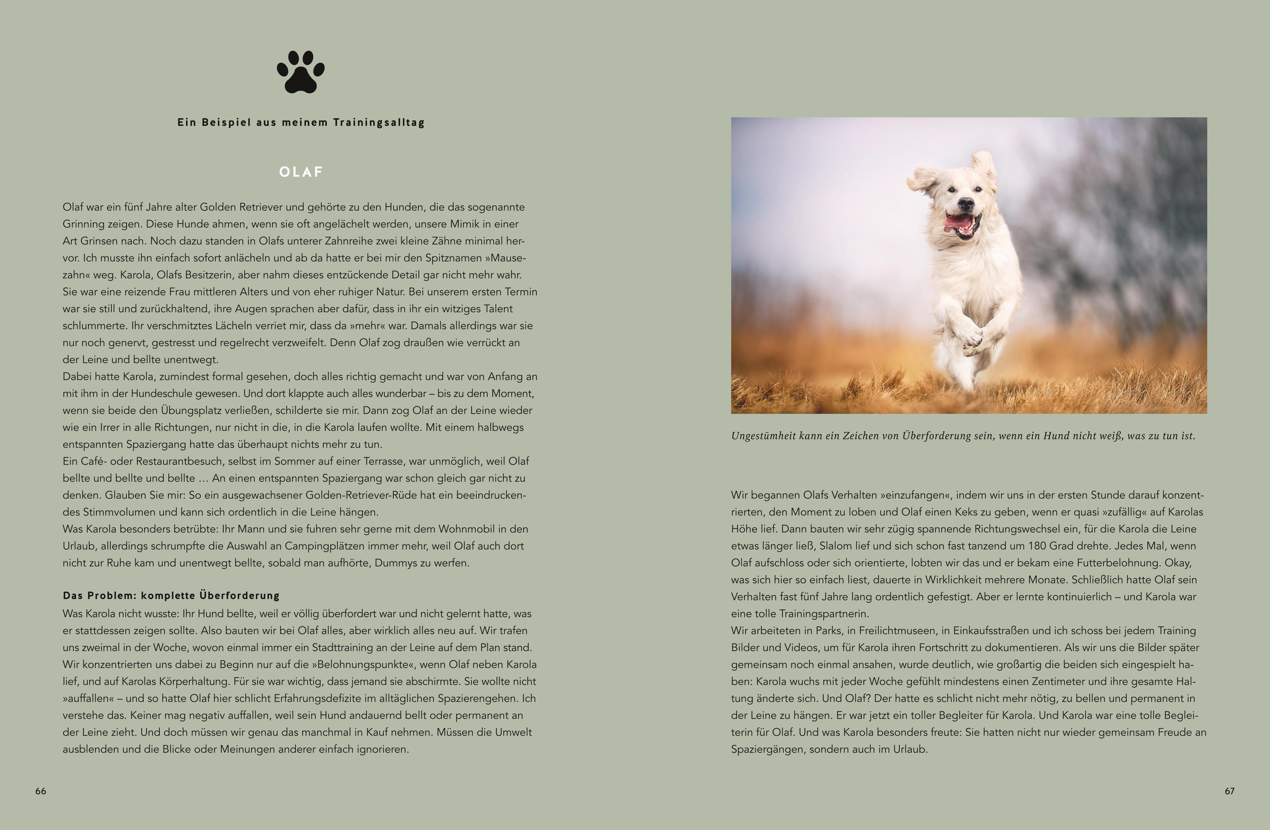 9783833894695_innenansicht_03 9783833894695_innenansicht_03.jpg