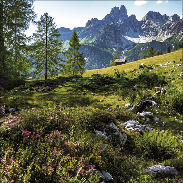 9783731875567_innenansicht_07 9783731875567_innenansicht_07.jpg