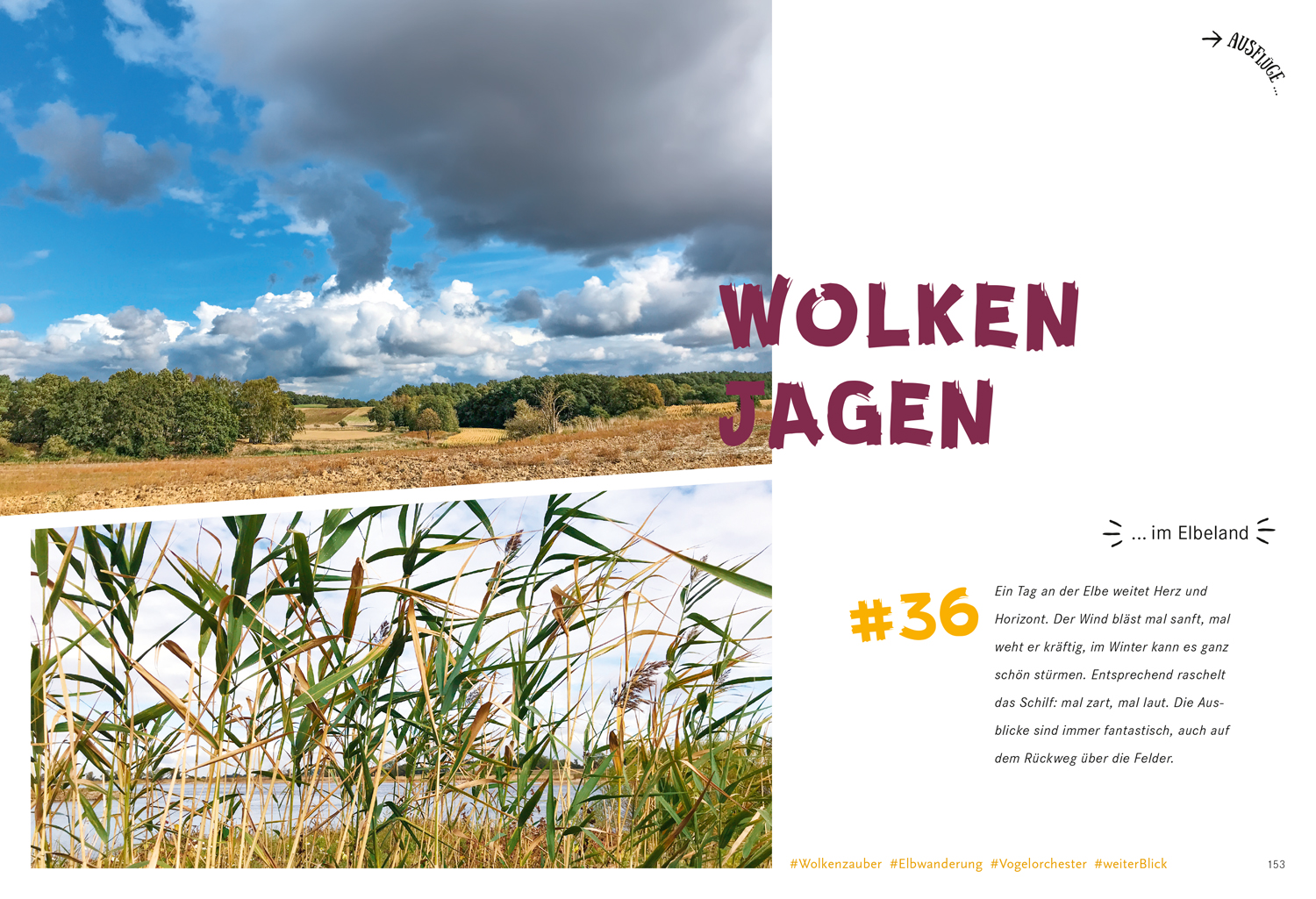 9783770180936_innenansicht_10 9783770180936_innenansicht_10.jpg