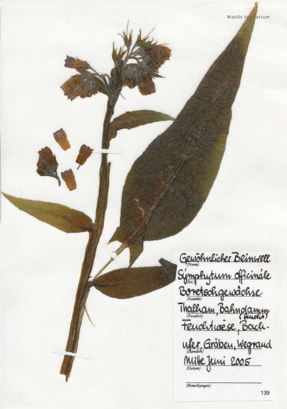 9783945419106_innenansicht_13 9783945419106_innenansicht_13.jpg