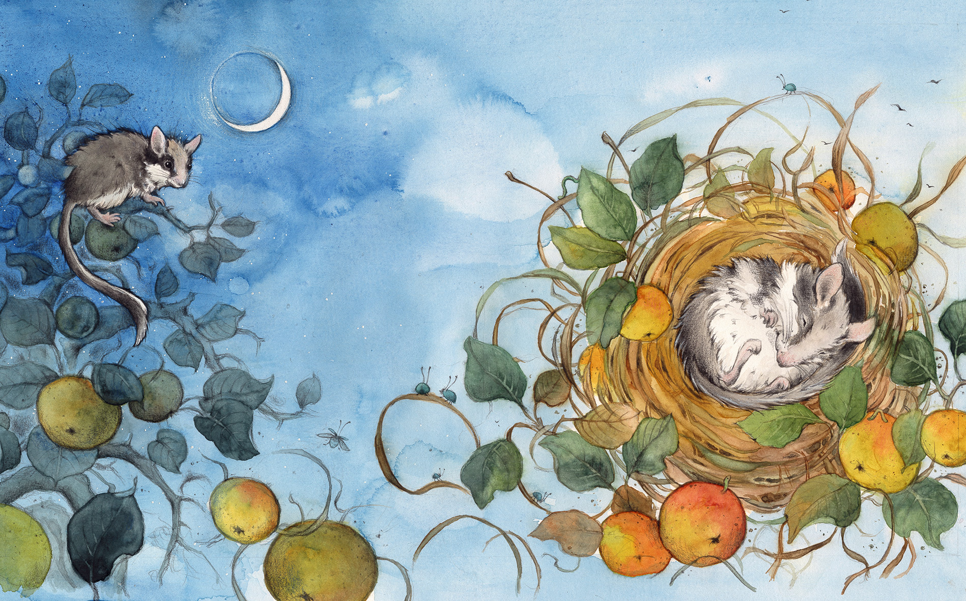 9783825153465_innenansicht_01 9783825153465_innenansicht_01.jpg